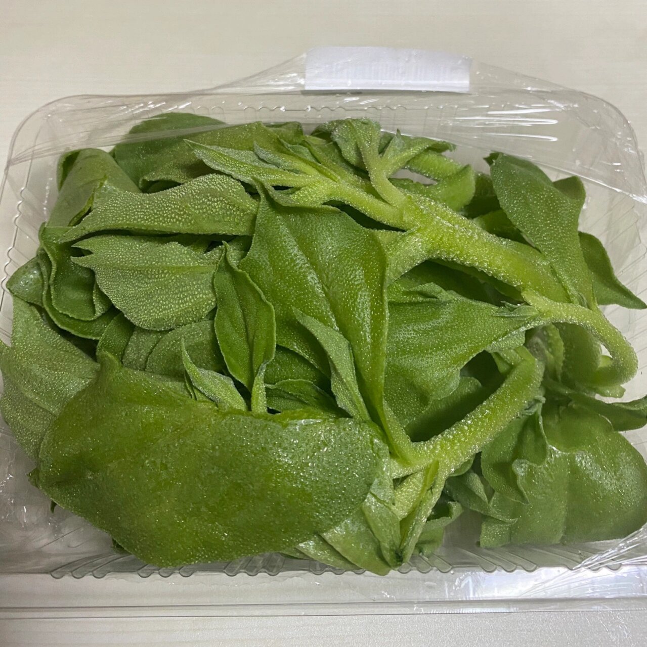 冰草 第一次吃这种蔬菜,是因为表面像冰晶一样,所以才叫冰草吧.