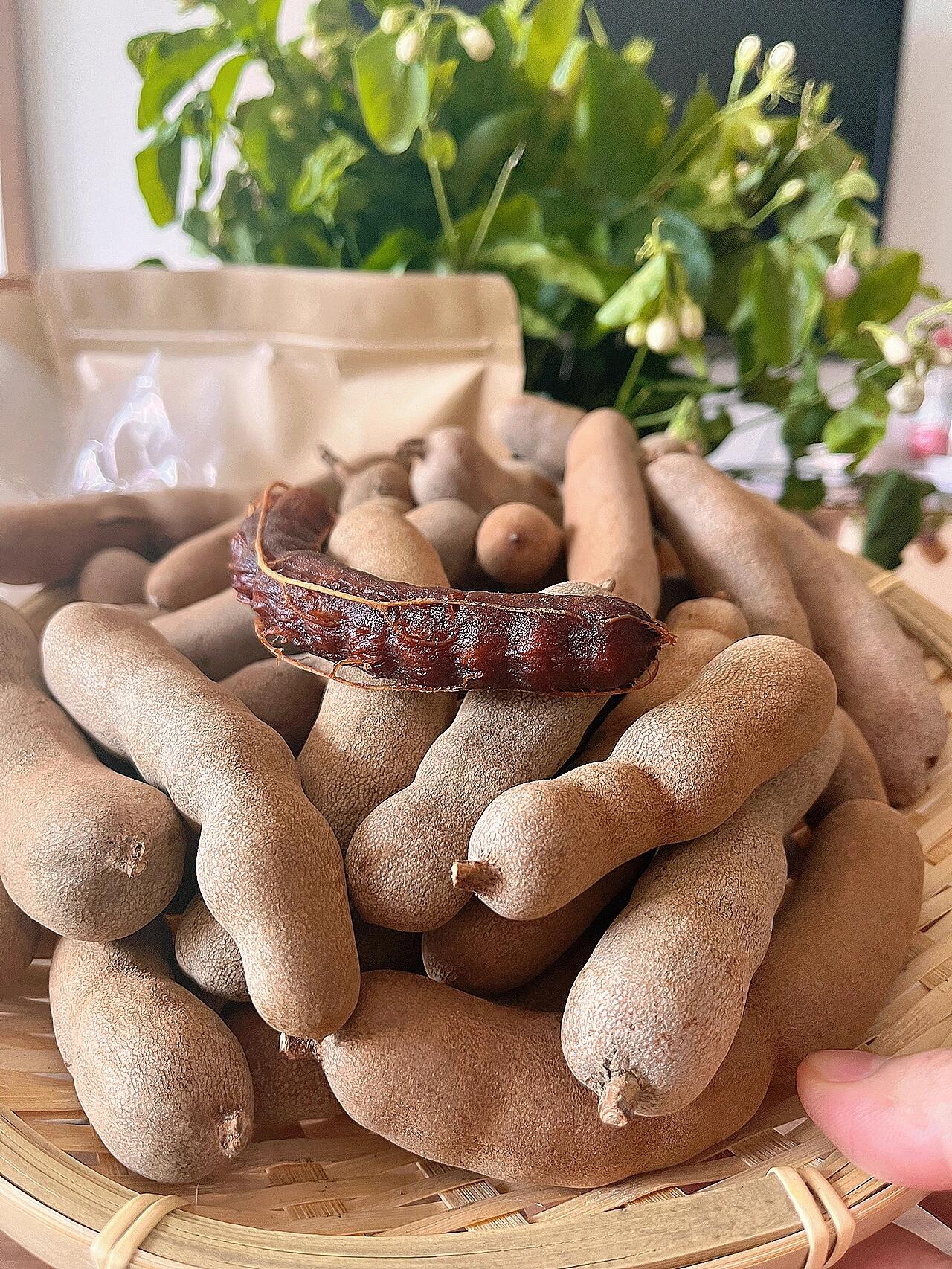 罗望子 又名酸甜角 减肥小帮手夏天必备