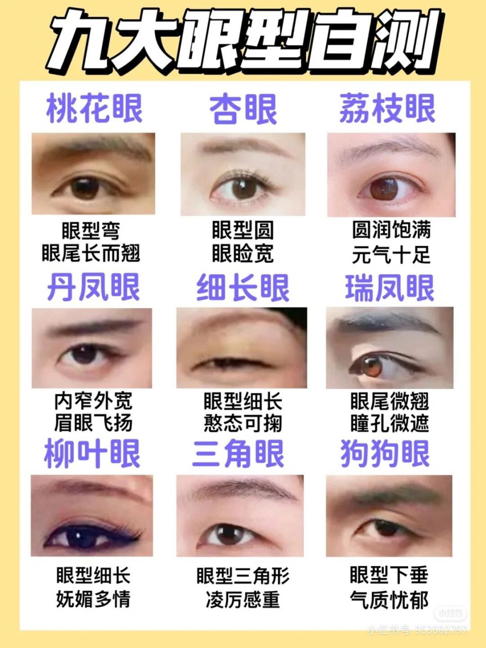 杏仁眼桃花眼照片区别图片