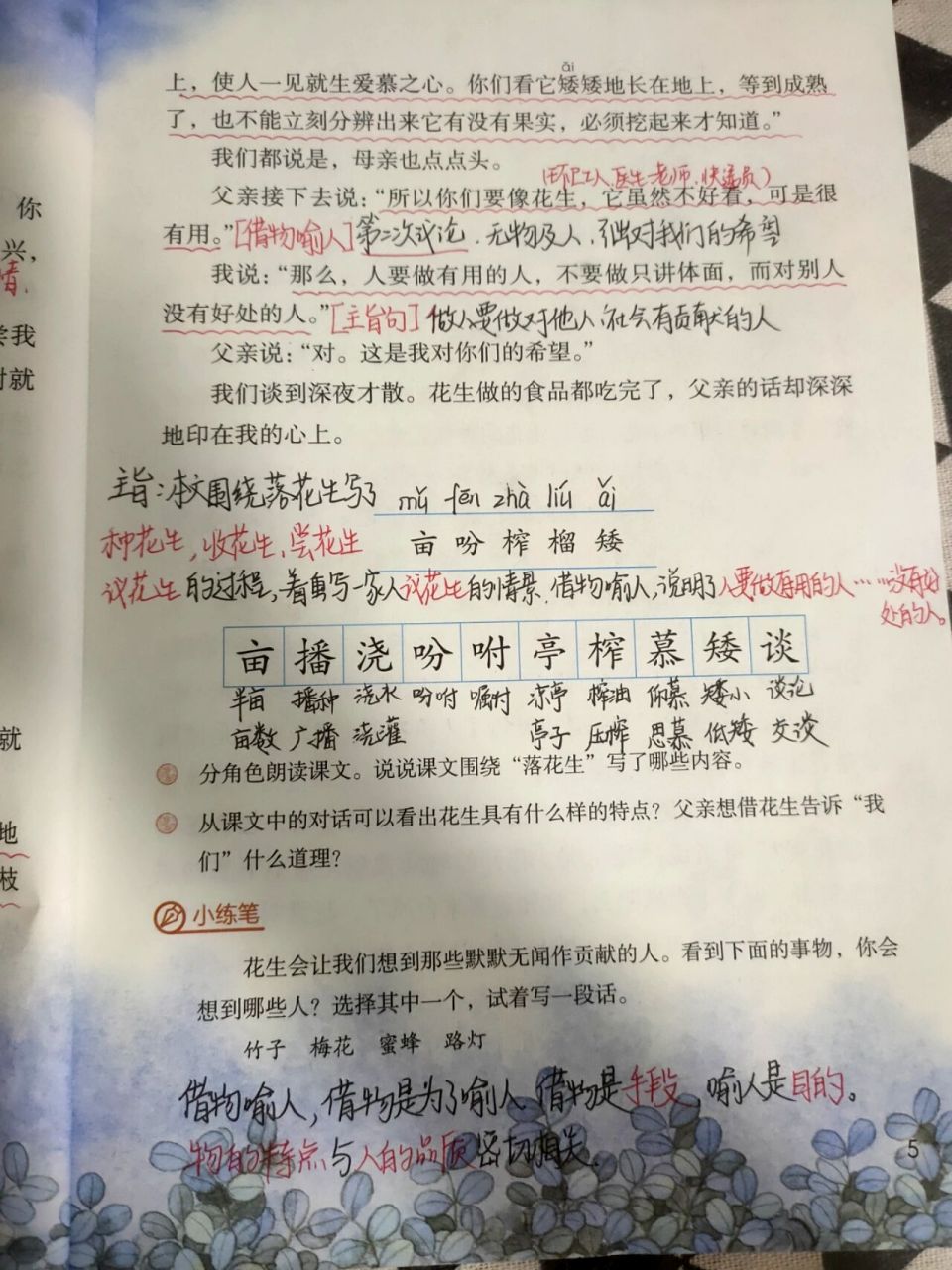 落花生课文解析笔记图片