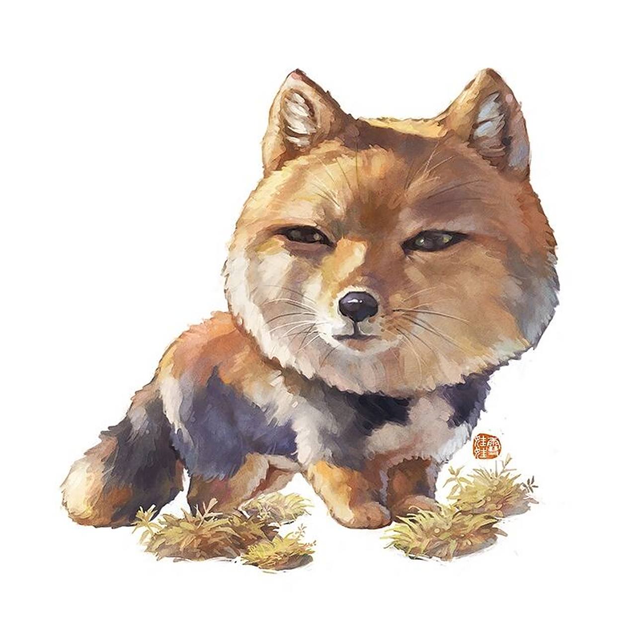 【高原小可爱】——藏狐 #画画的日常# 【高原小可爱】——藏狐 藏狐