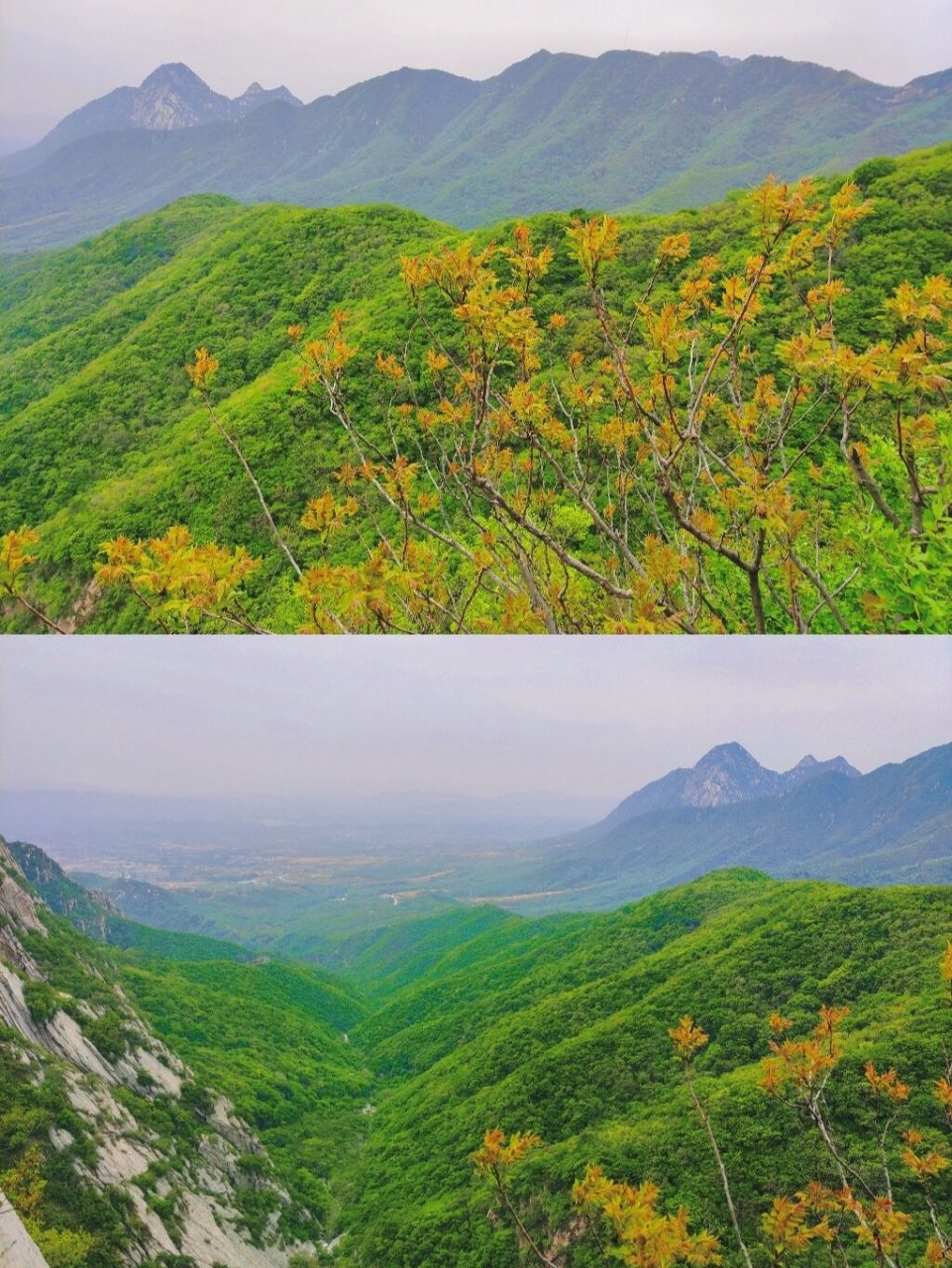 旅行|景点|三皇寨 96三皇寨景区是嵩山世界地质公园,嵩山风景名胜区