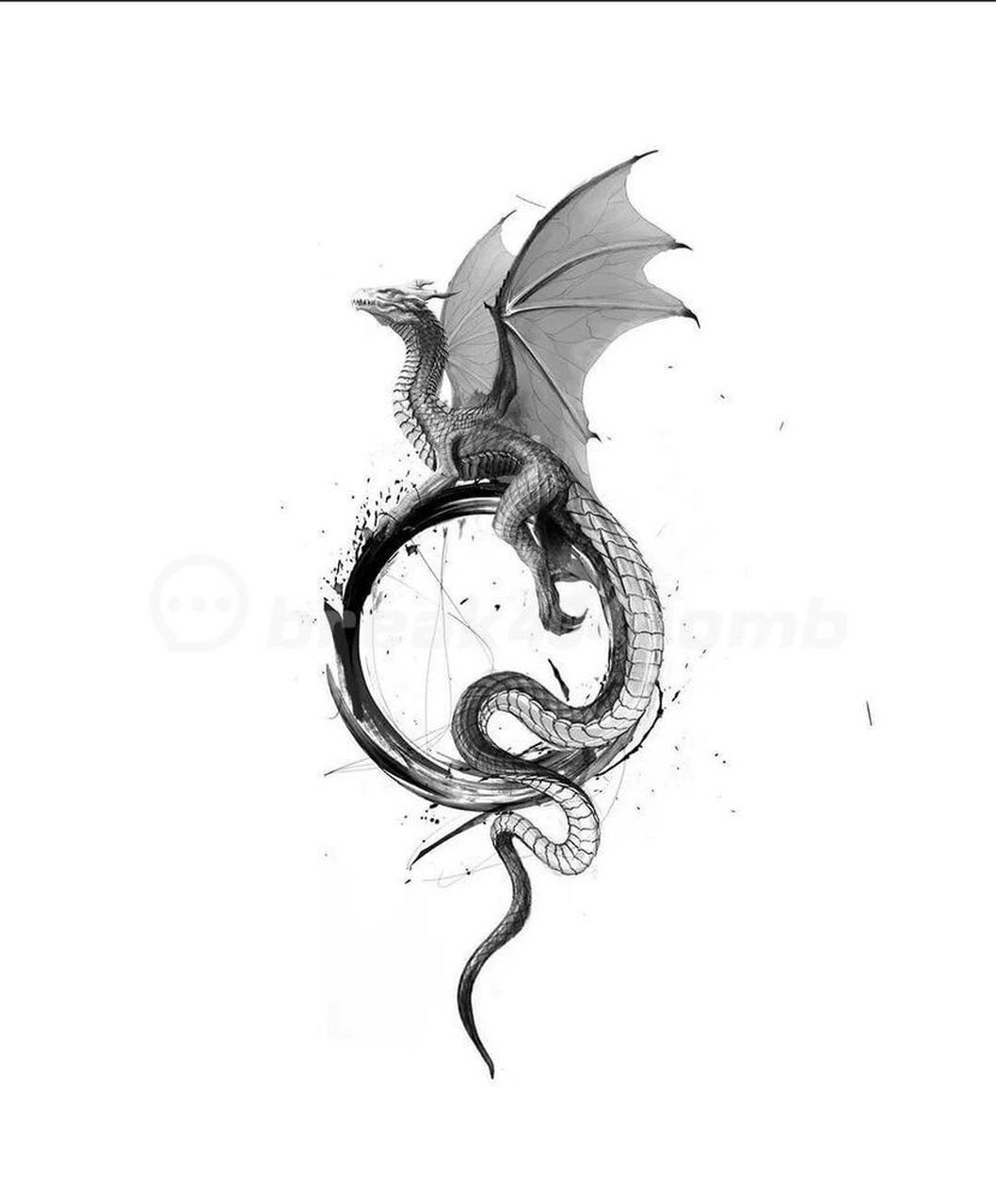 龙纹身单针纹身|超细致龙纹身手稿 西方龙,英文名dragon,西方神话传说