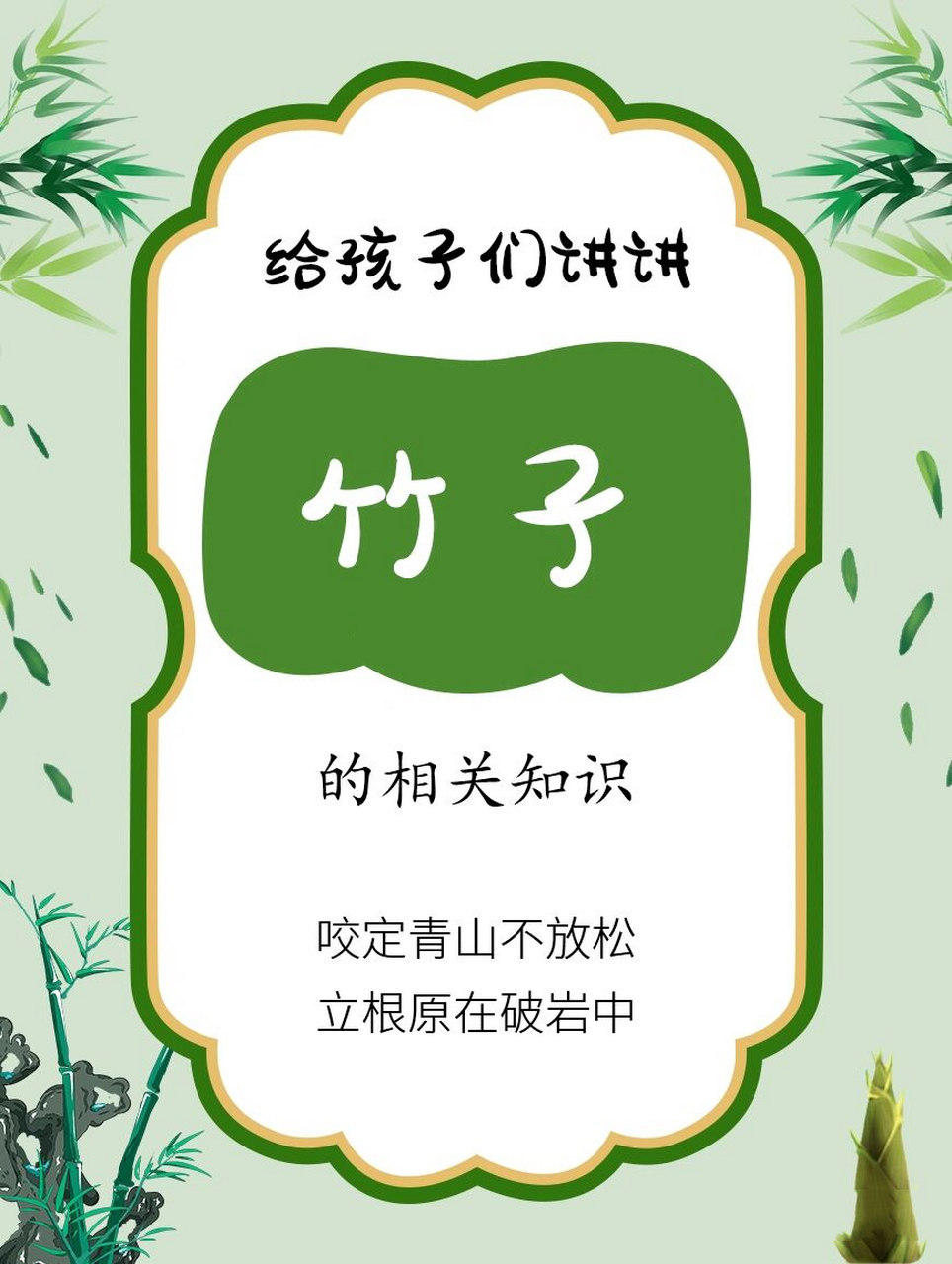 给孩子讲讲竹子的相关知识|自然科普  9516615竹子的结构 竹秆