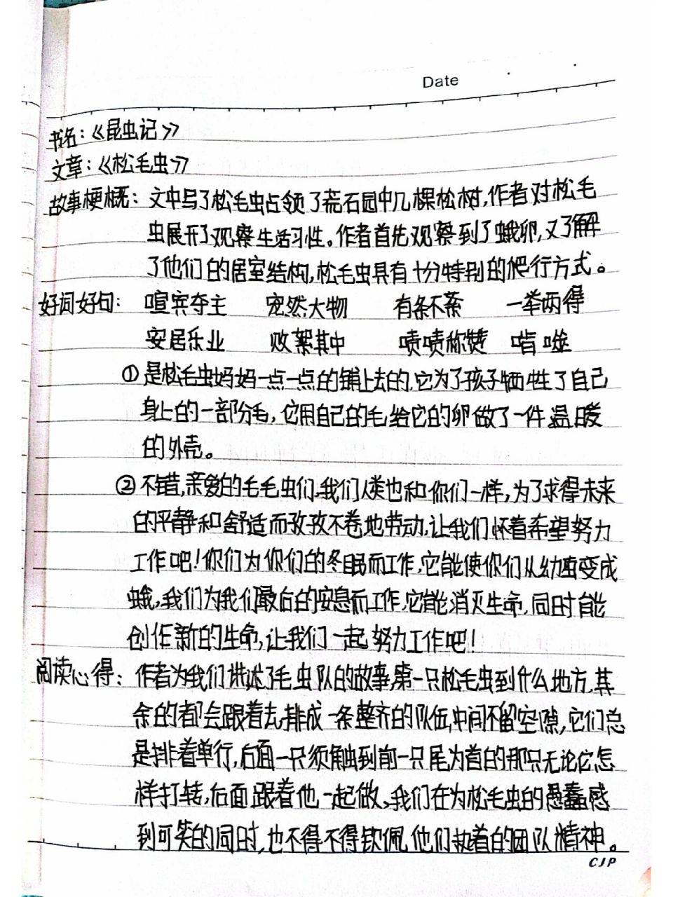 昆虫记   松毛虫 读书笔记