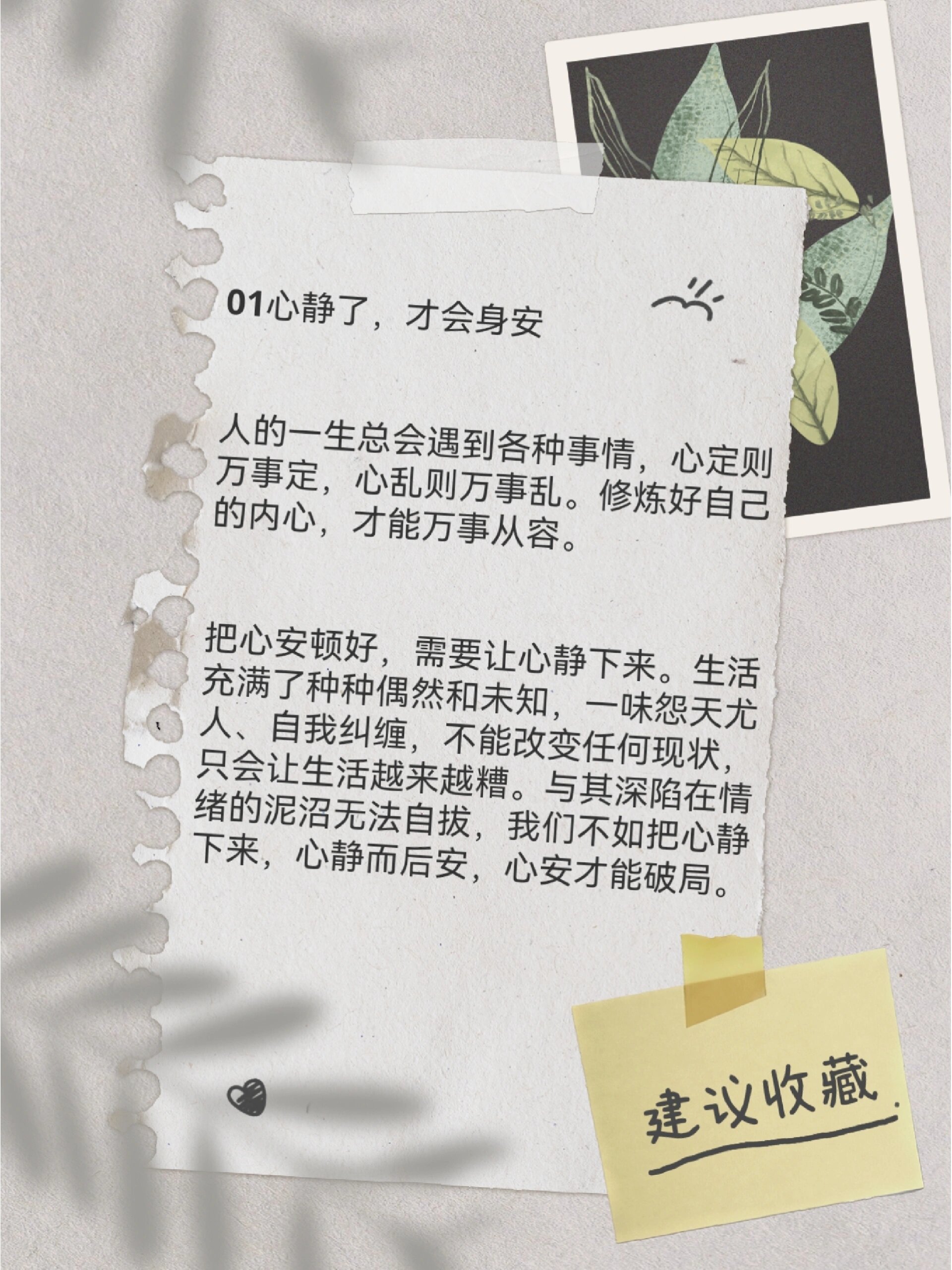 把心安顿好,人生也就顺了 1⃣️心静了,才会身安 人的一生总会