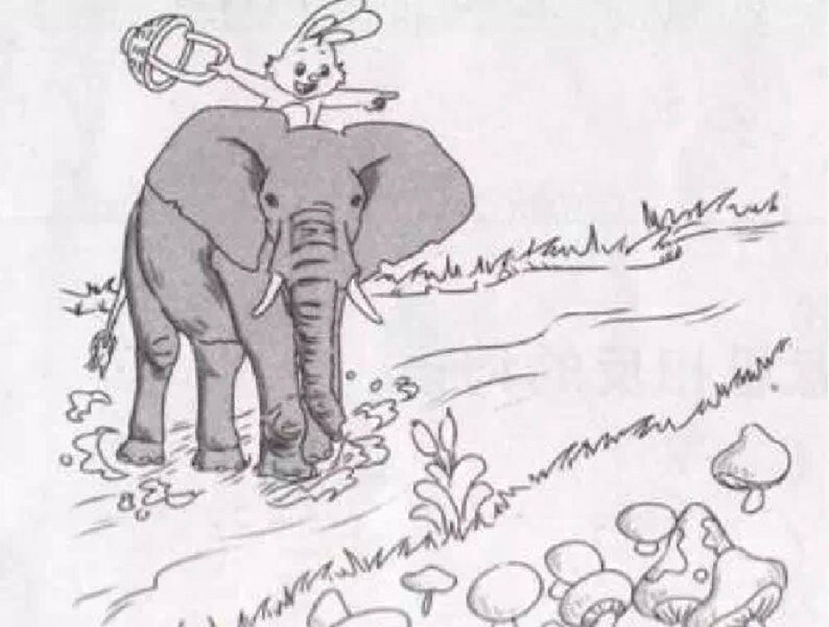 小兔过河,大象帮小兔子过河看图写话 范文一 《过河》 一天,小兔乖乖