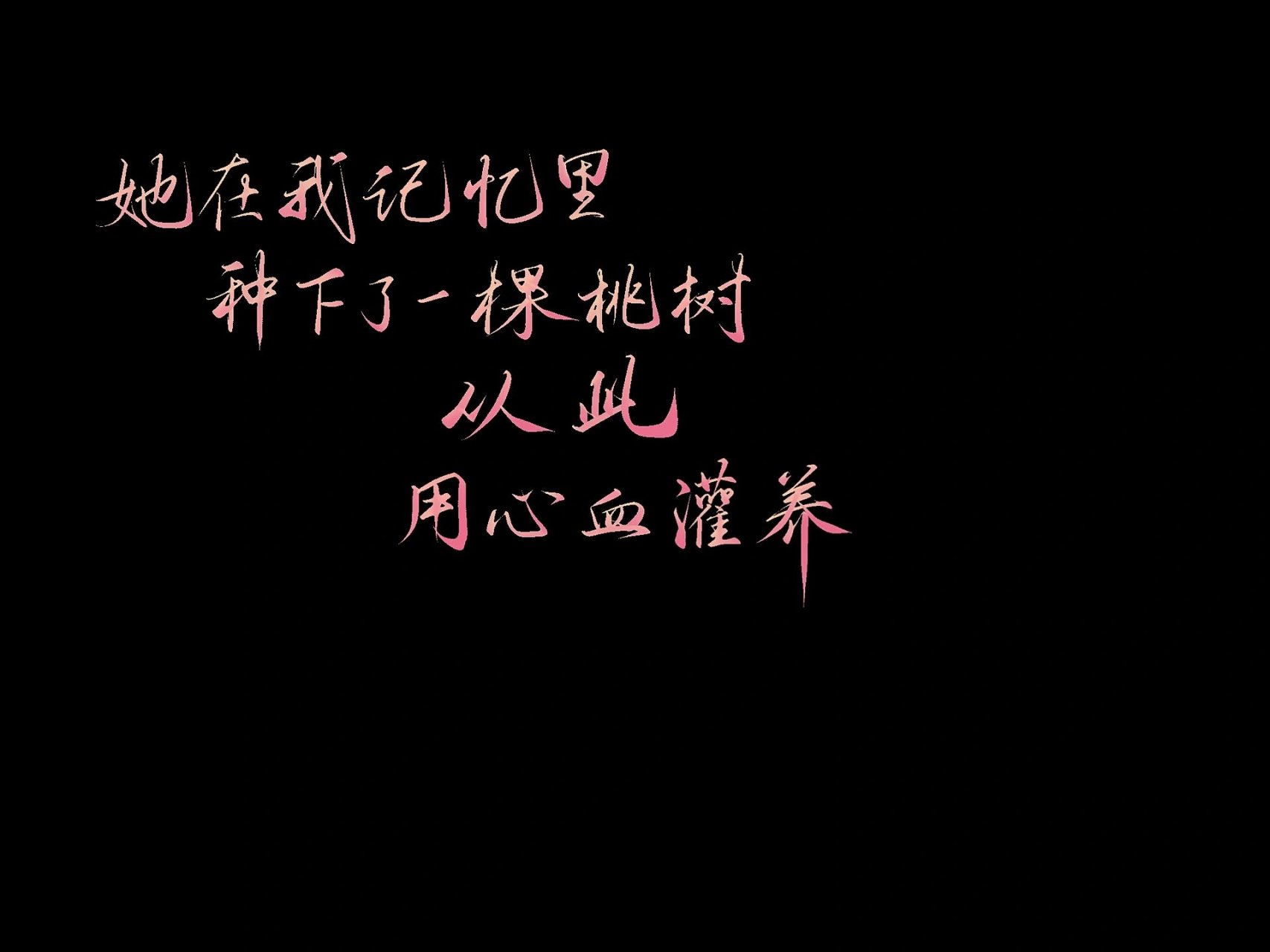 板写三|诸葛亮·武陵仙君台词 "桃花劫" 	 "什么都不懂的时候,我曾