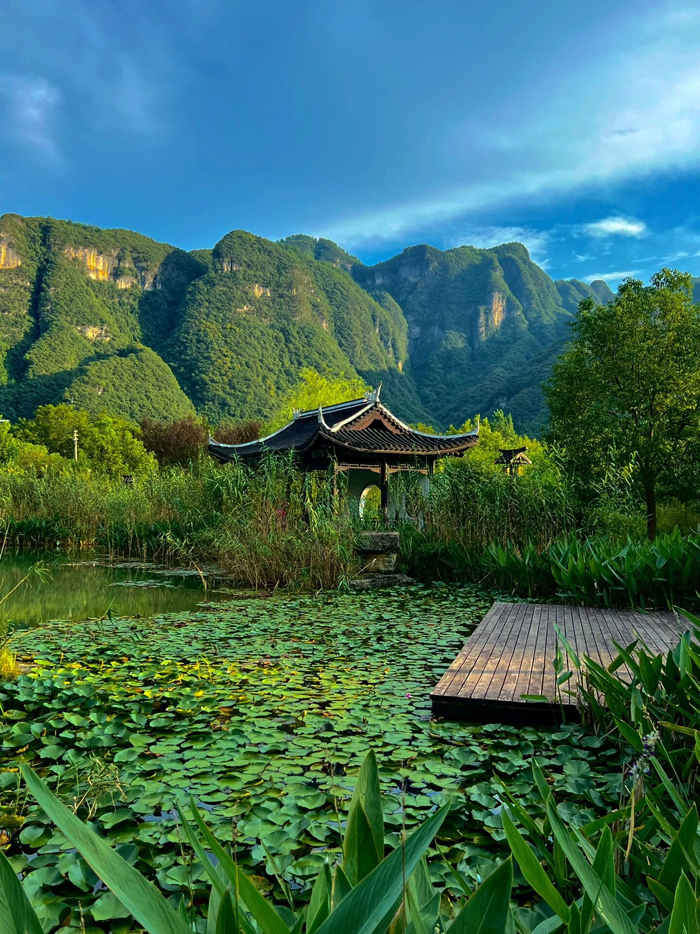 贵州铜仁江口【免门票的宝藏景区】 浮生暂寄梦中梦 世事如闻风里风