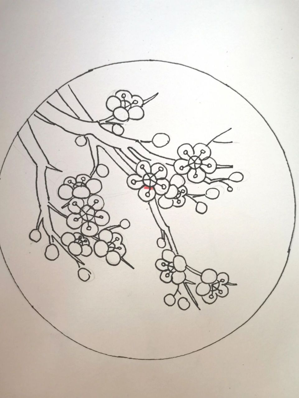 简笔画(96)跟我一起画梅花 横幅的!