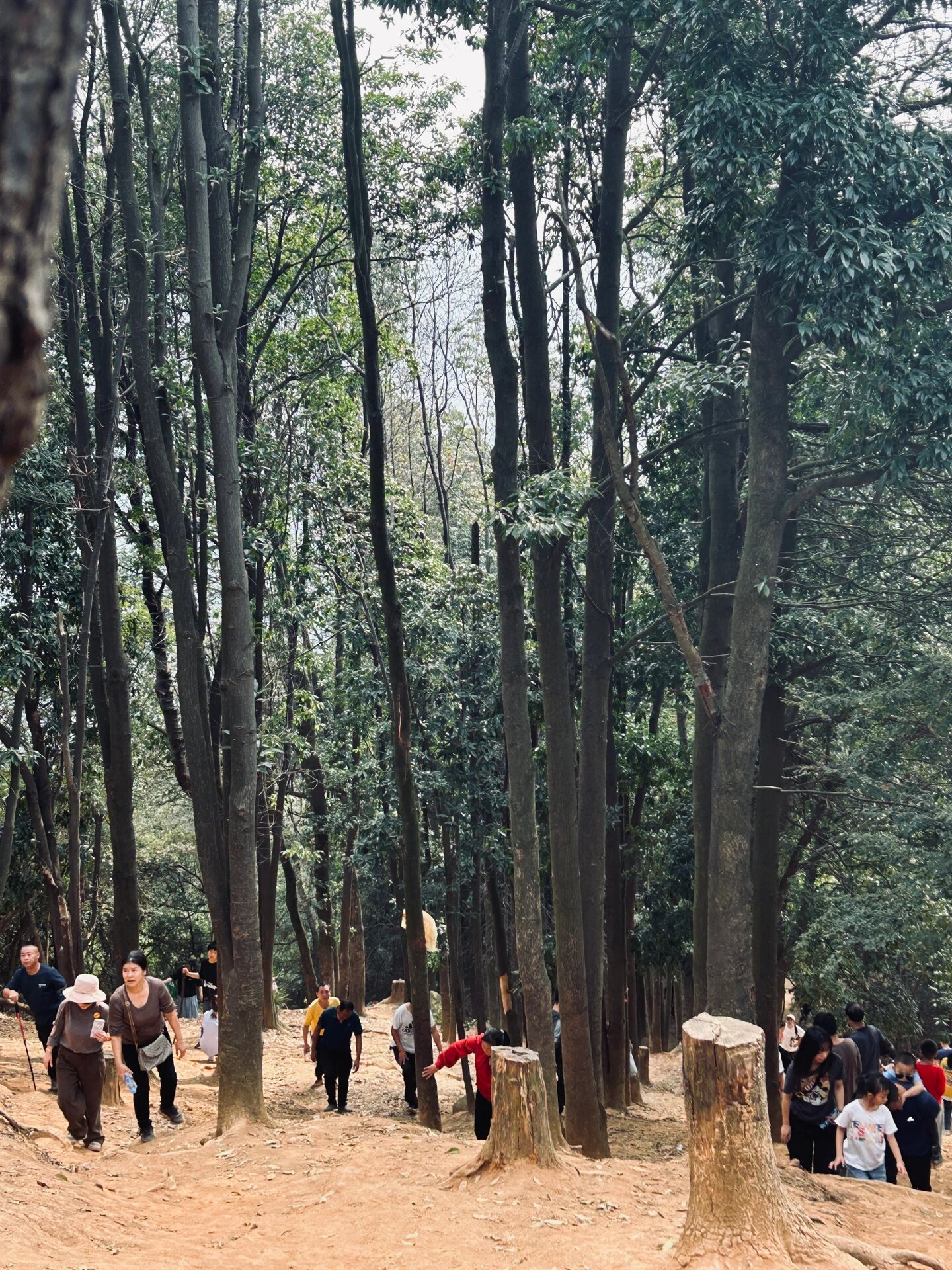 梅岭老四坡雷公尖登顶