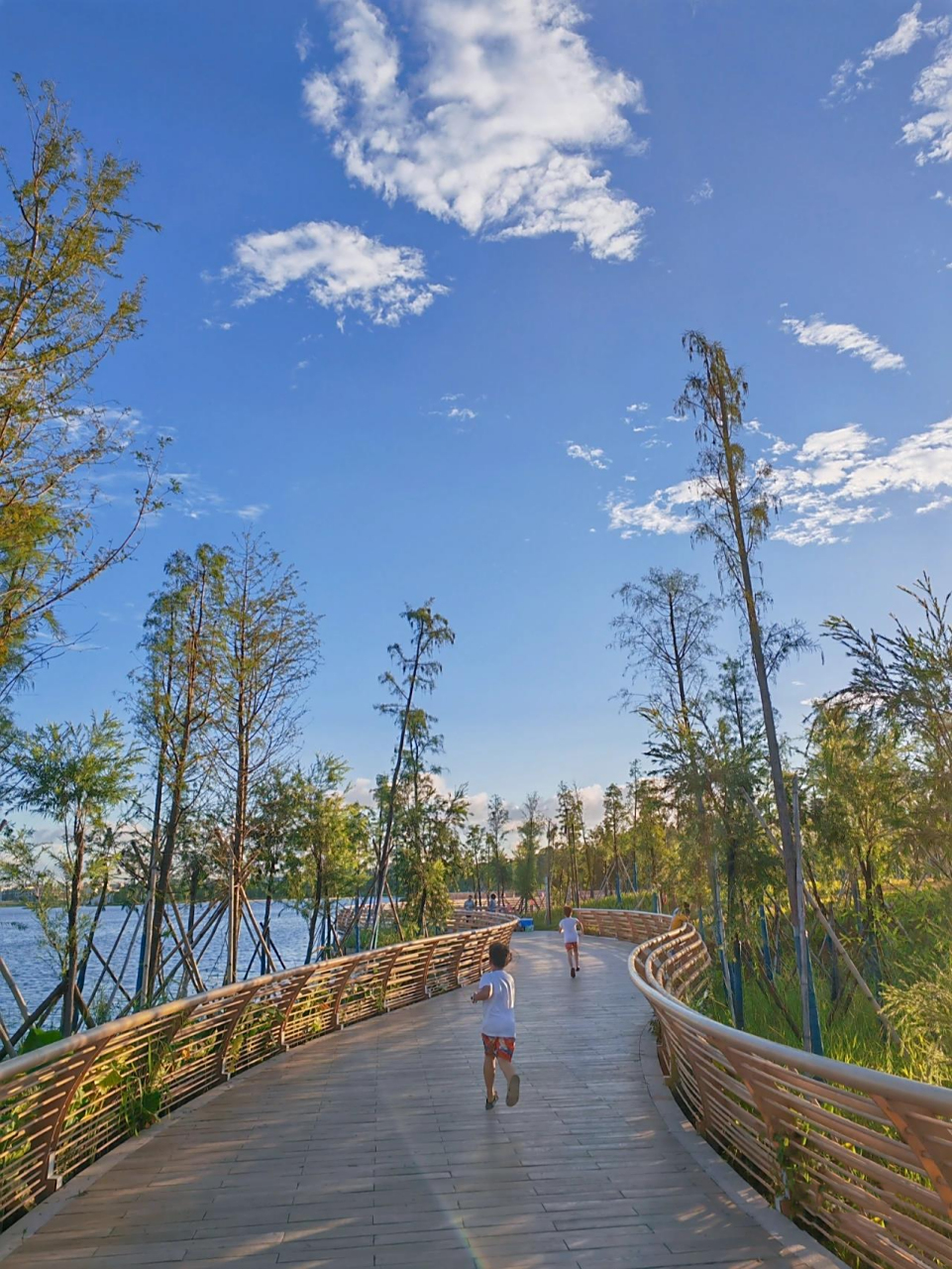 东莞|东清湖湿地公园 99地点:广东省东莞市企石镇企石环镇路.