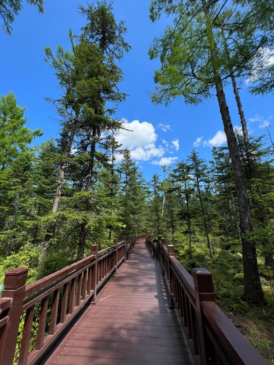 端午遇见伊春——汤旺河石林风景区9808 在五营国家森林公园之后