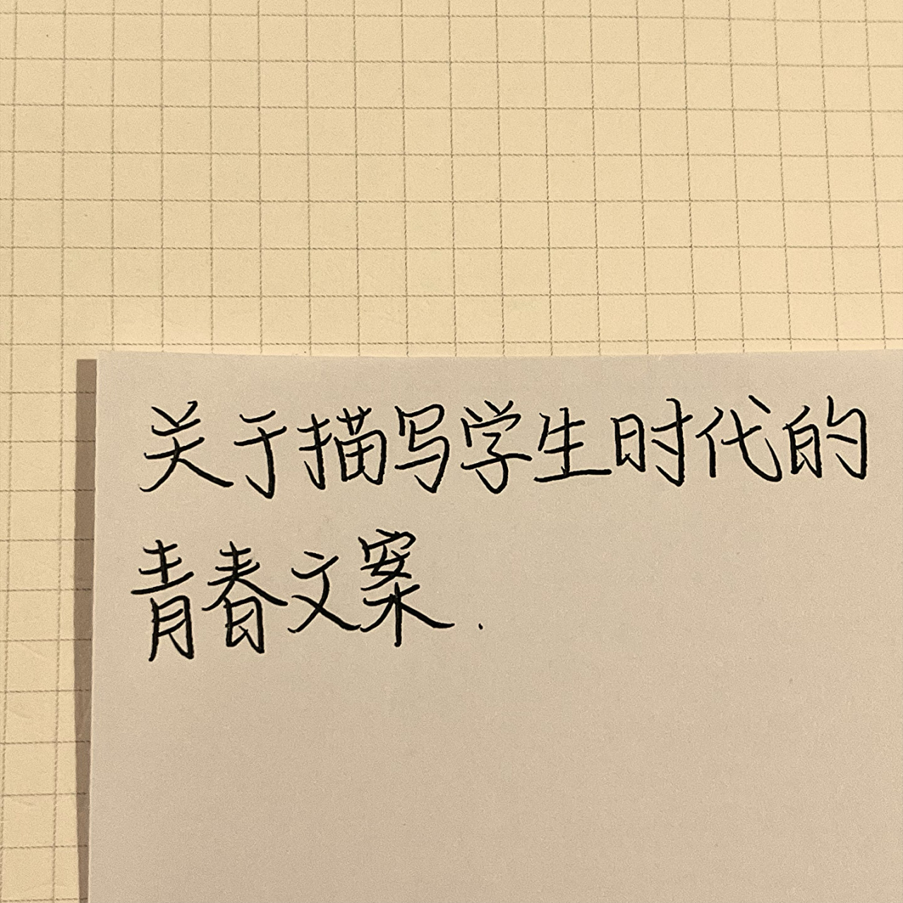 关于描写学生时代的青春文案93 "我们的青春波澜不惊 却又轰轰烈烈.