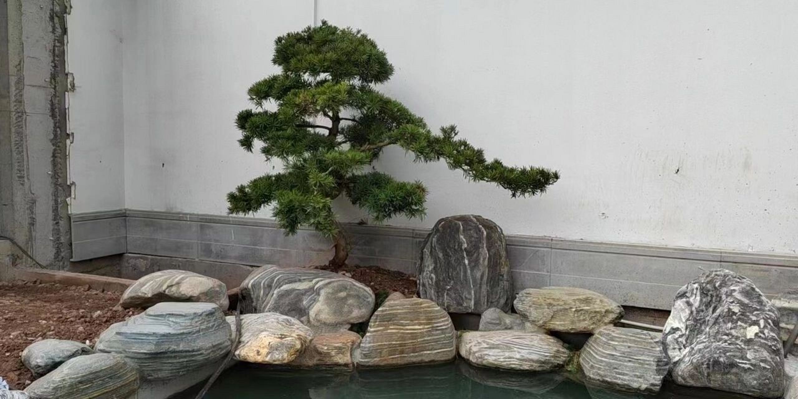 精品的泰山石做围边是怎么样的效果?