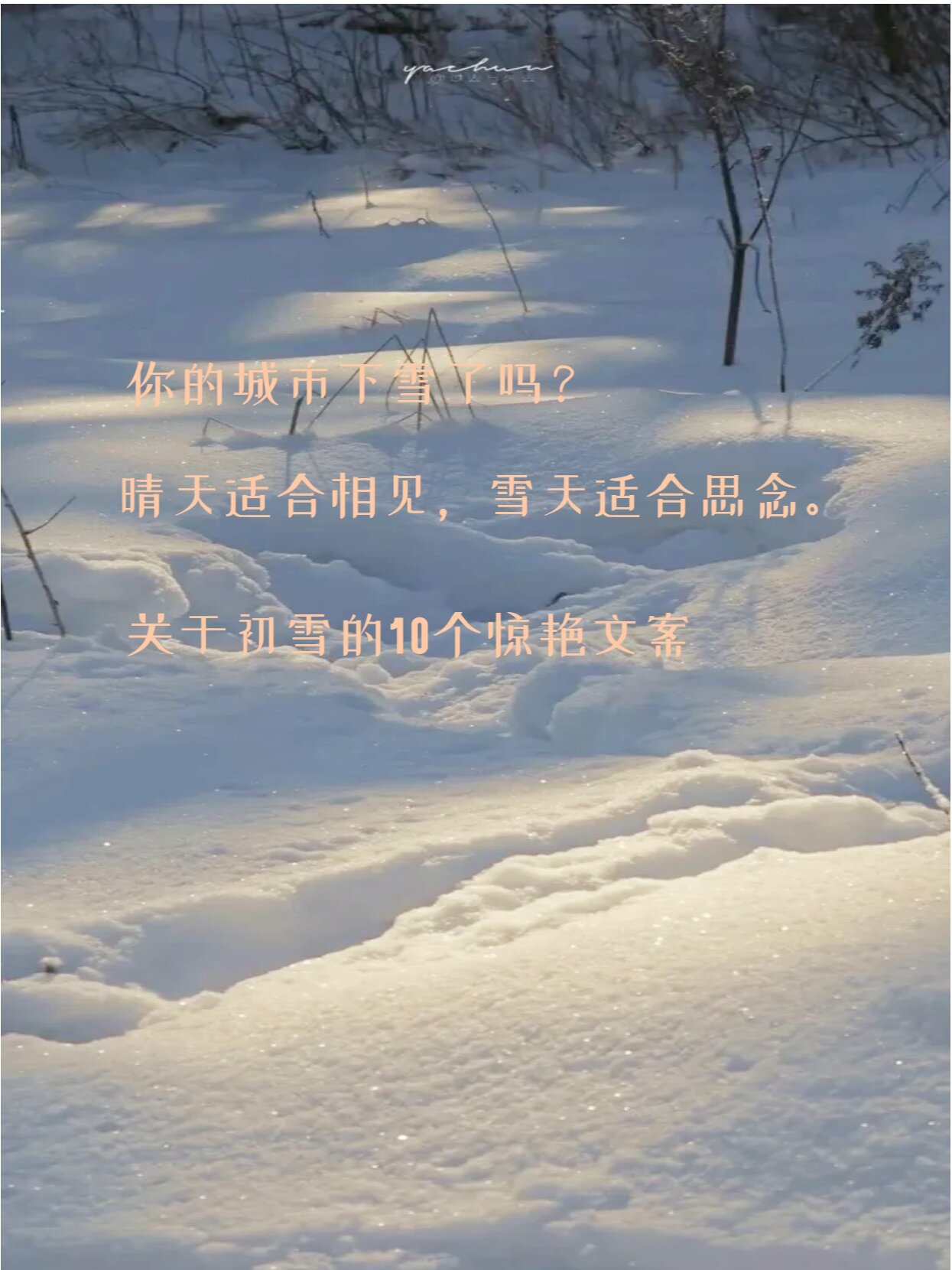 新年雪景文案图片