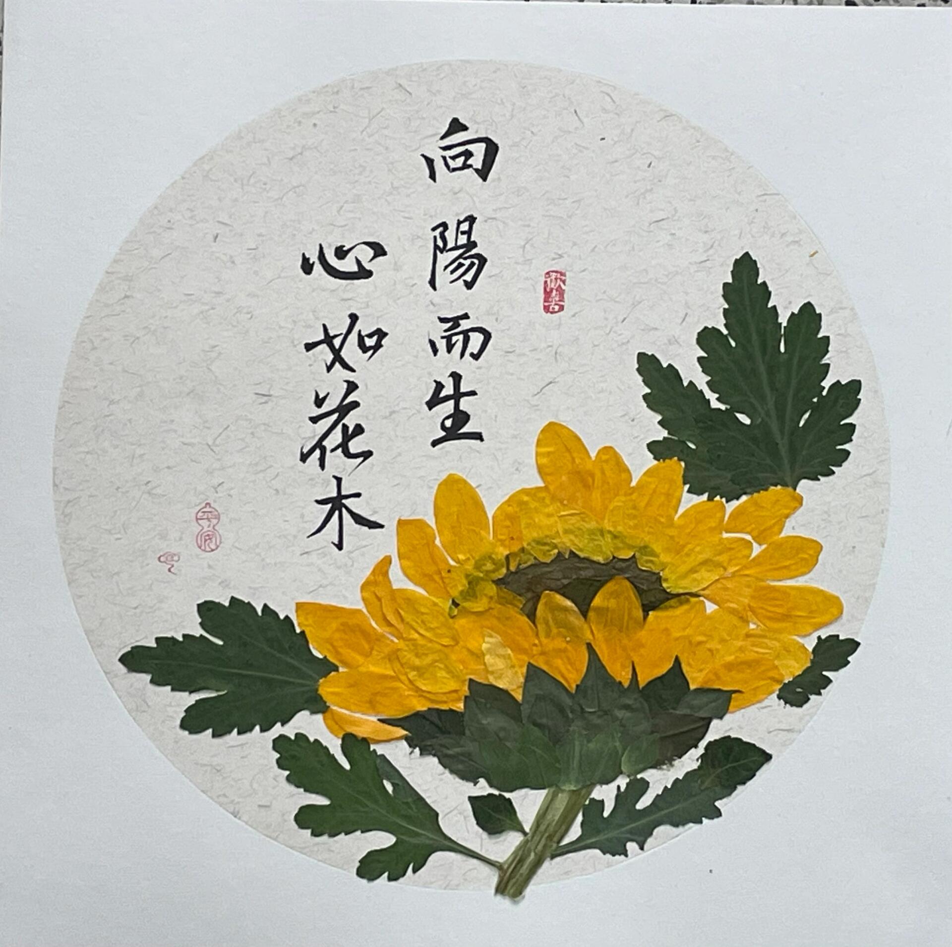 主题:阳光之心,花开向阳 心如花木,绽放阳光下的灿烂;向阳而生,每一刻