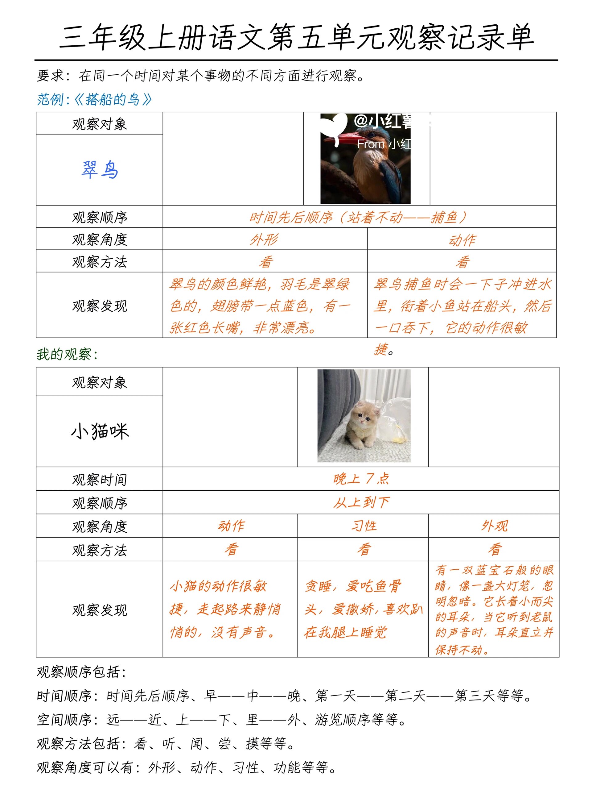 三年级上册语文观察记录单