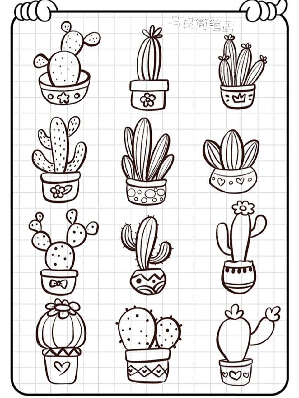 简笔插画|仙人掌91各种简单画法手绘植物       千万别相信什么人生