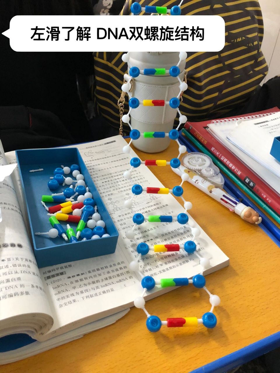 dna分子模型的制作简单图片