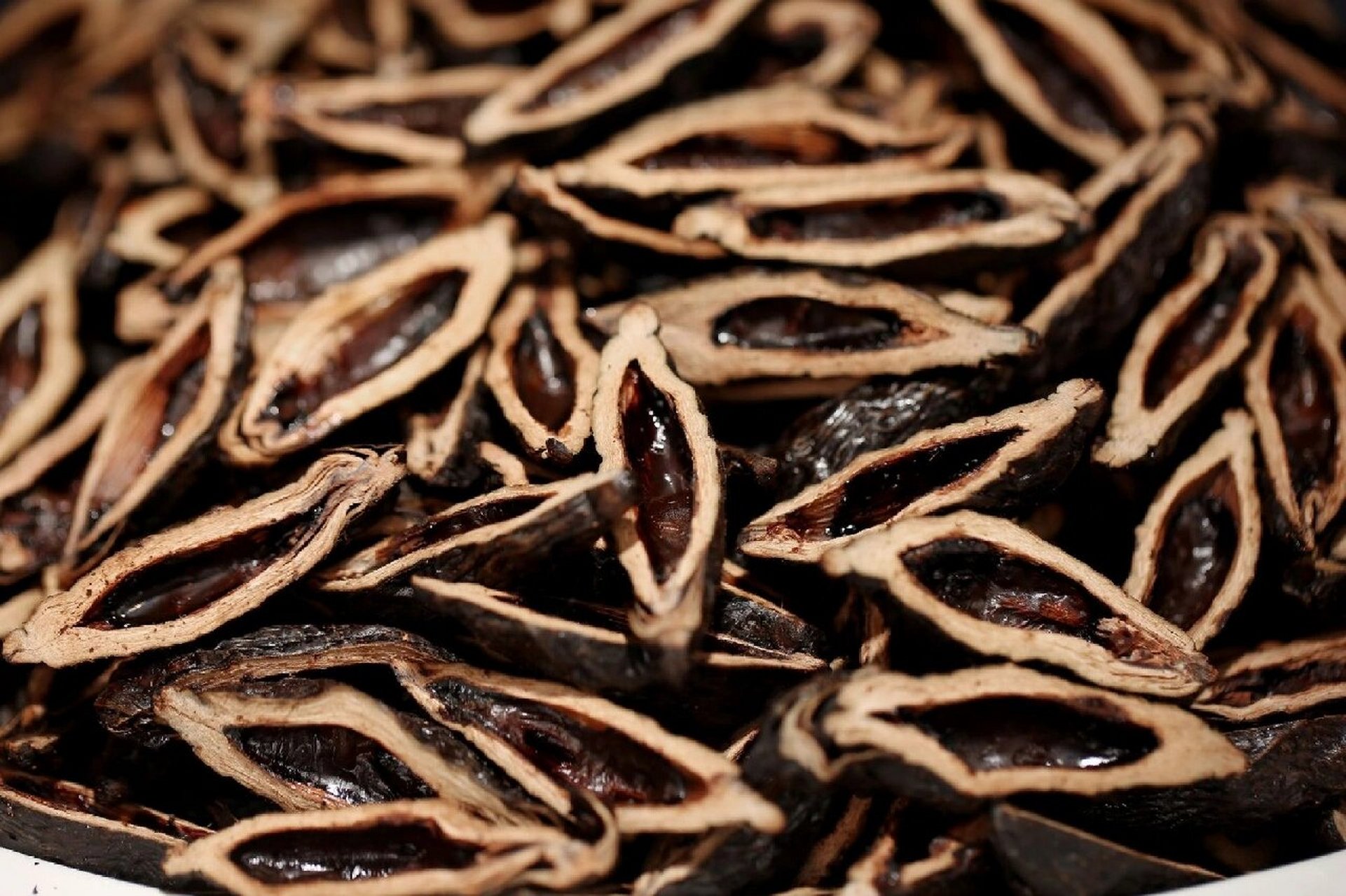 看故事学中药(槟榔) 槟榔中药故事 相传在云南傣族人家有个美丽善良的