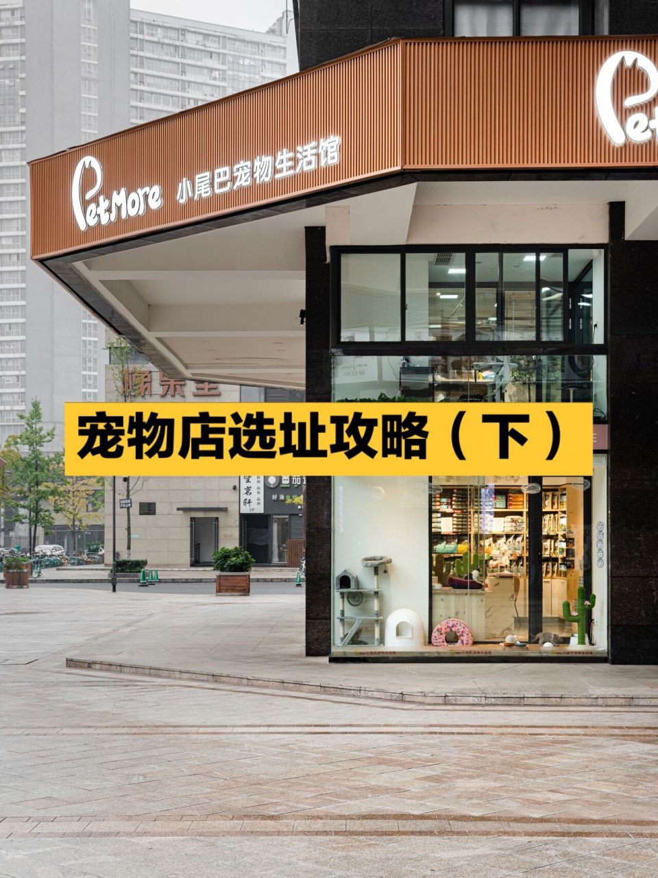 选能控制噪音的位置 3. 宠物店相较餐饮选址的不同 4.