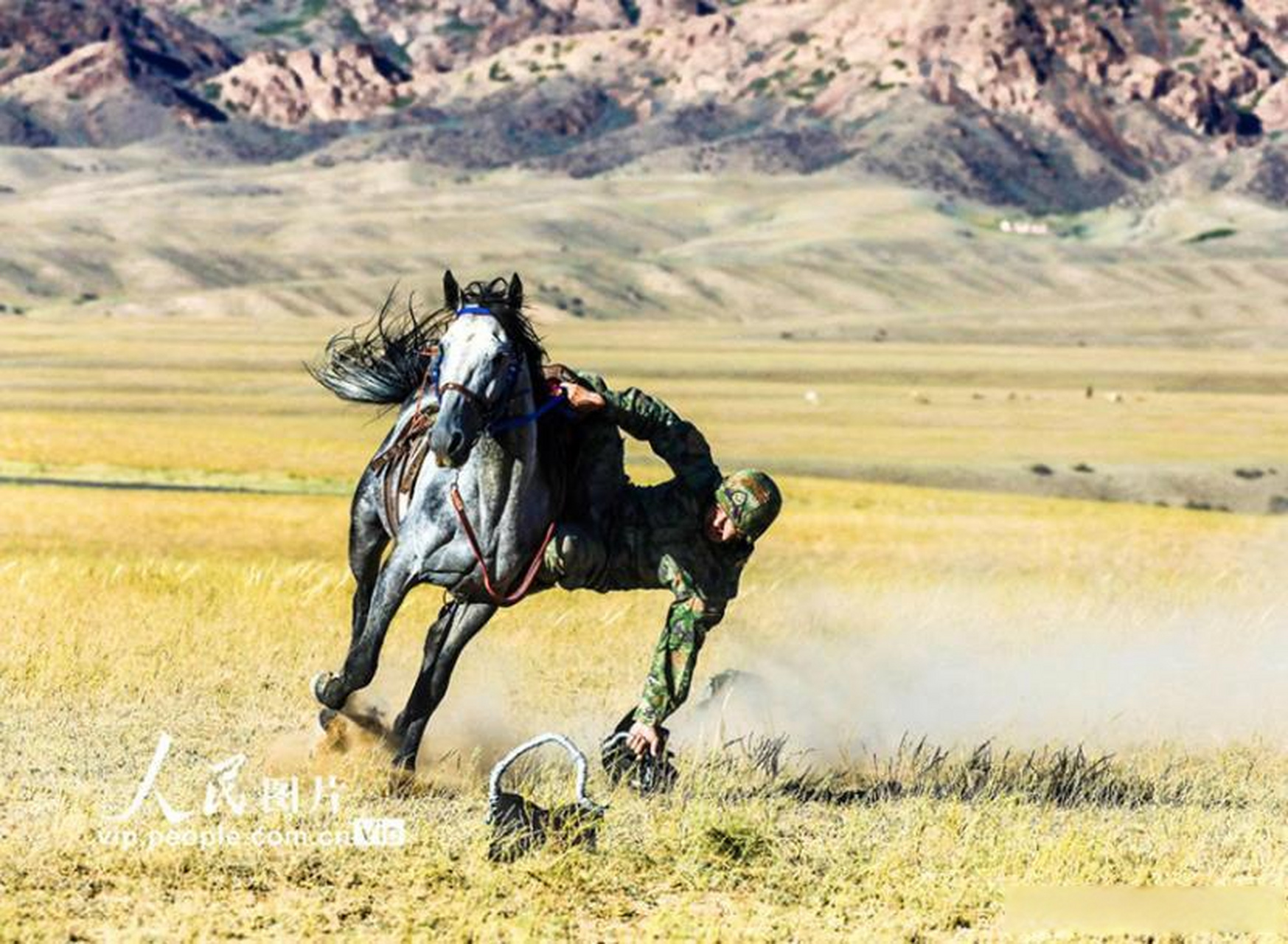 中国骑兵马种图片