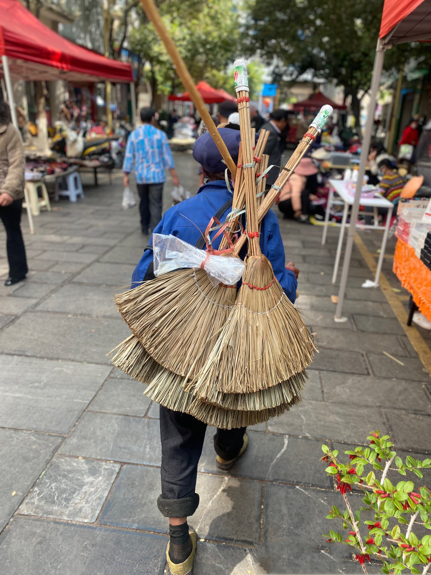 集市,偶遇一大爷背着这种用棕榈叶编织的扫把03,让我想起小时候家家