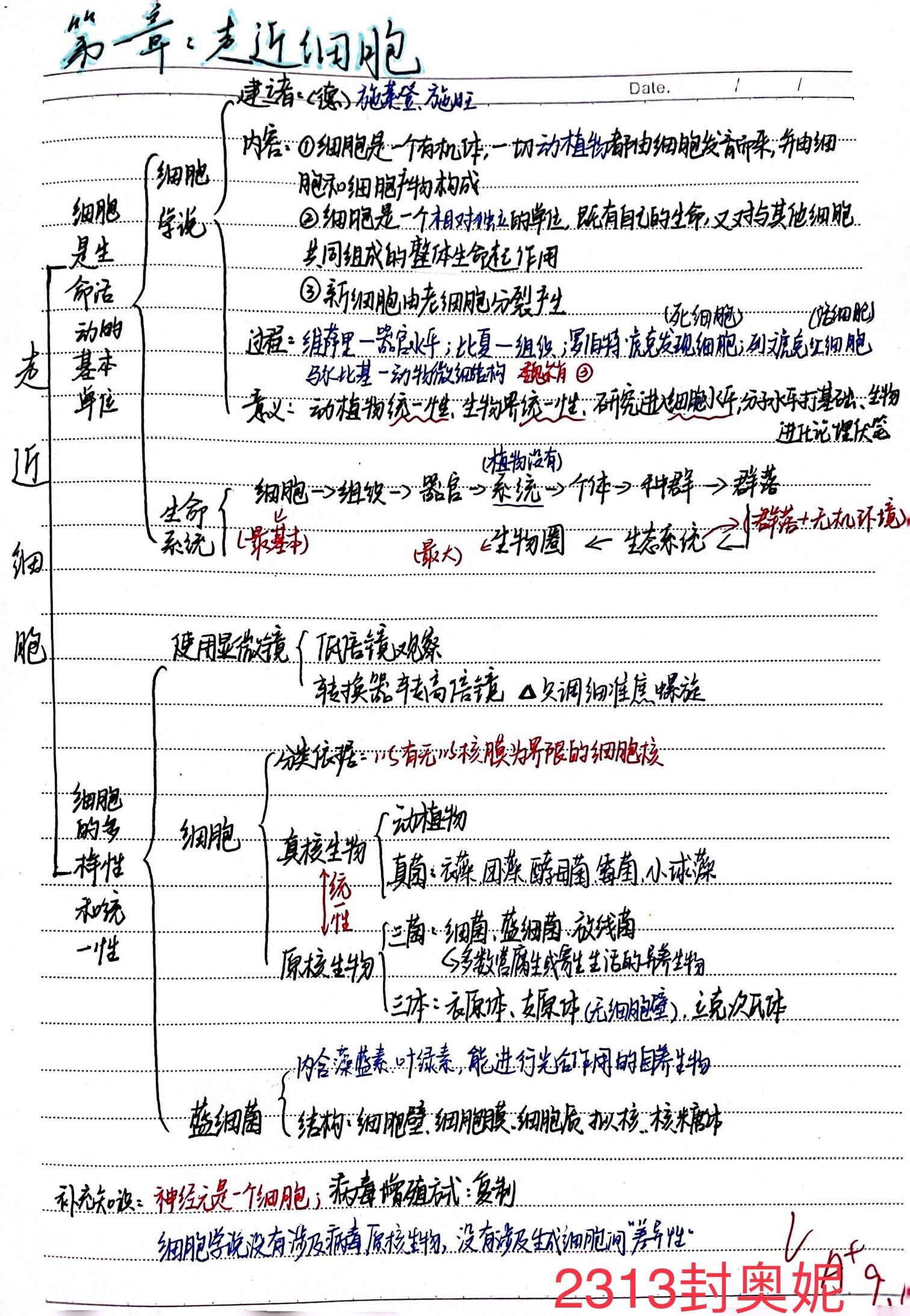 高中生物必修一第一章思维导图分享四