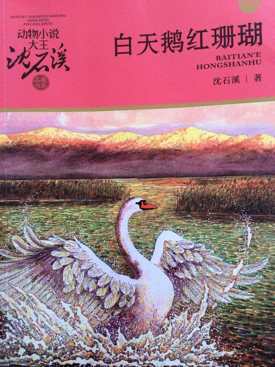白天鹅红珊瑚(一) 沈石溪和强巴去观察疣鼻天鹅,沈石溪将目光落在了一