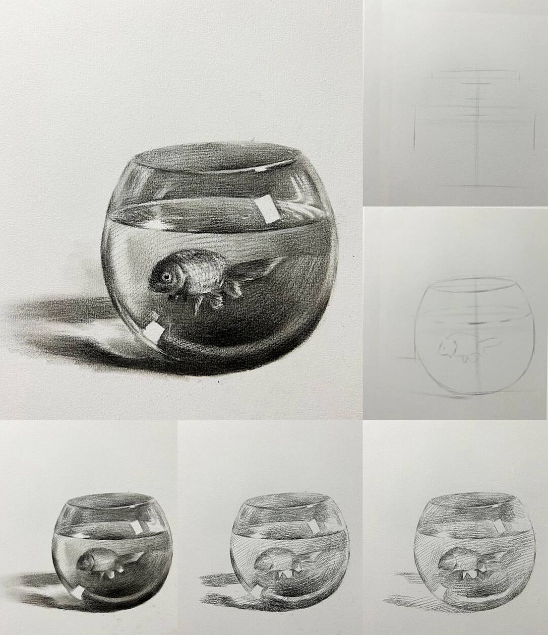 素描写生 金鱼缸里养金鱼 #画画的日常# #素描# #素描动物# #金鱼