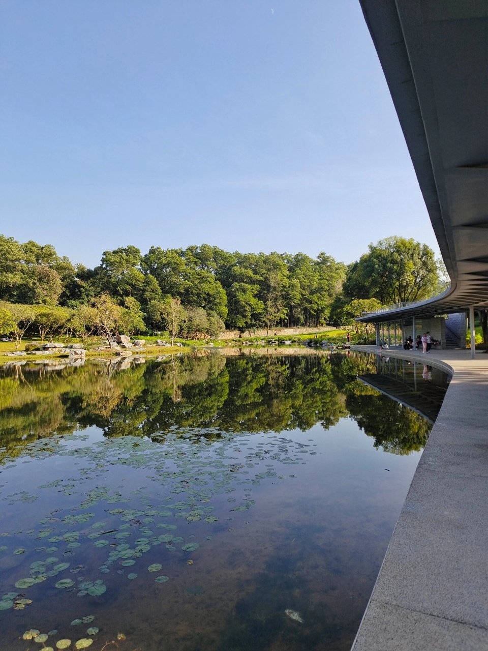 用力拥抱大自然～西丽湖度假村好chill~ 西丽湖度假村真的好chill