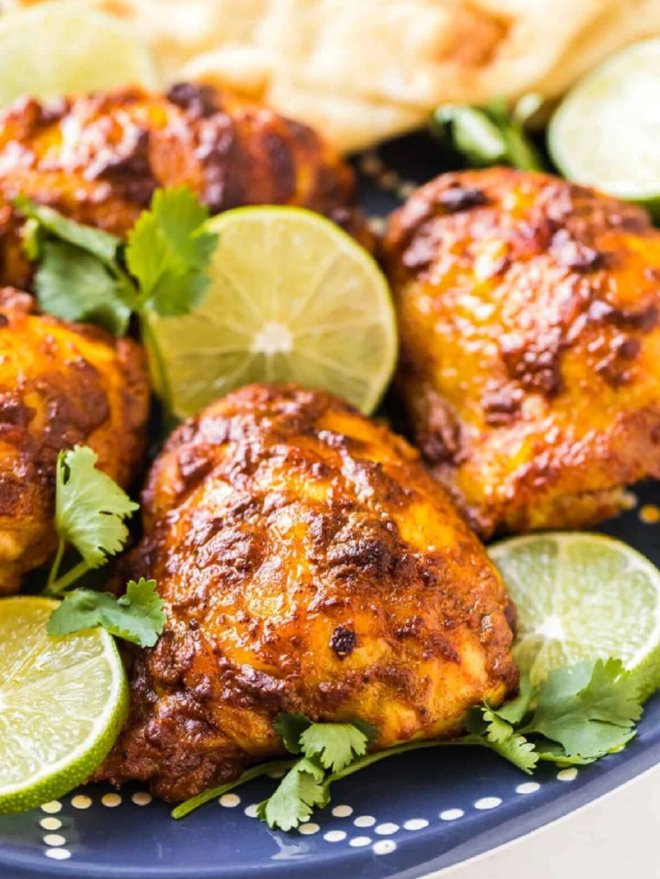 唐杜里鸡肉腌料 | 东南亚风味90 tandoori混合香料以tandoor命名