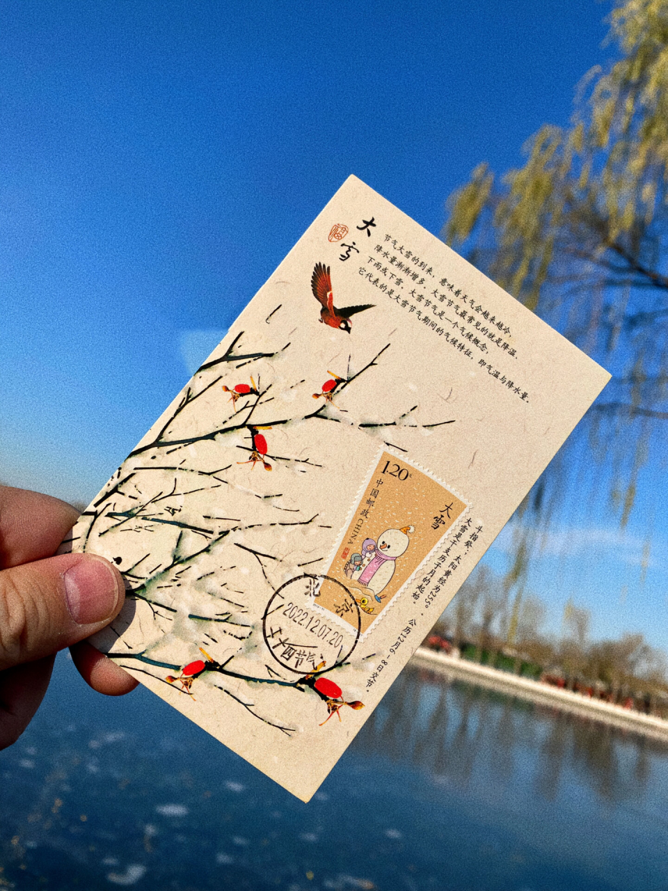 藏在明信片里的二十四节气小浪漫💛🤍❤️🤍 遥寄相思,清明