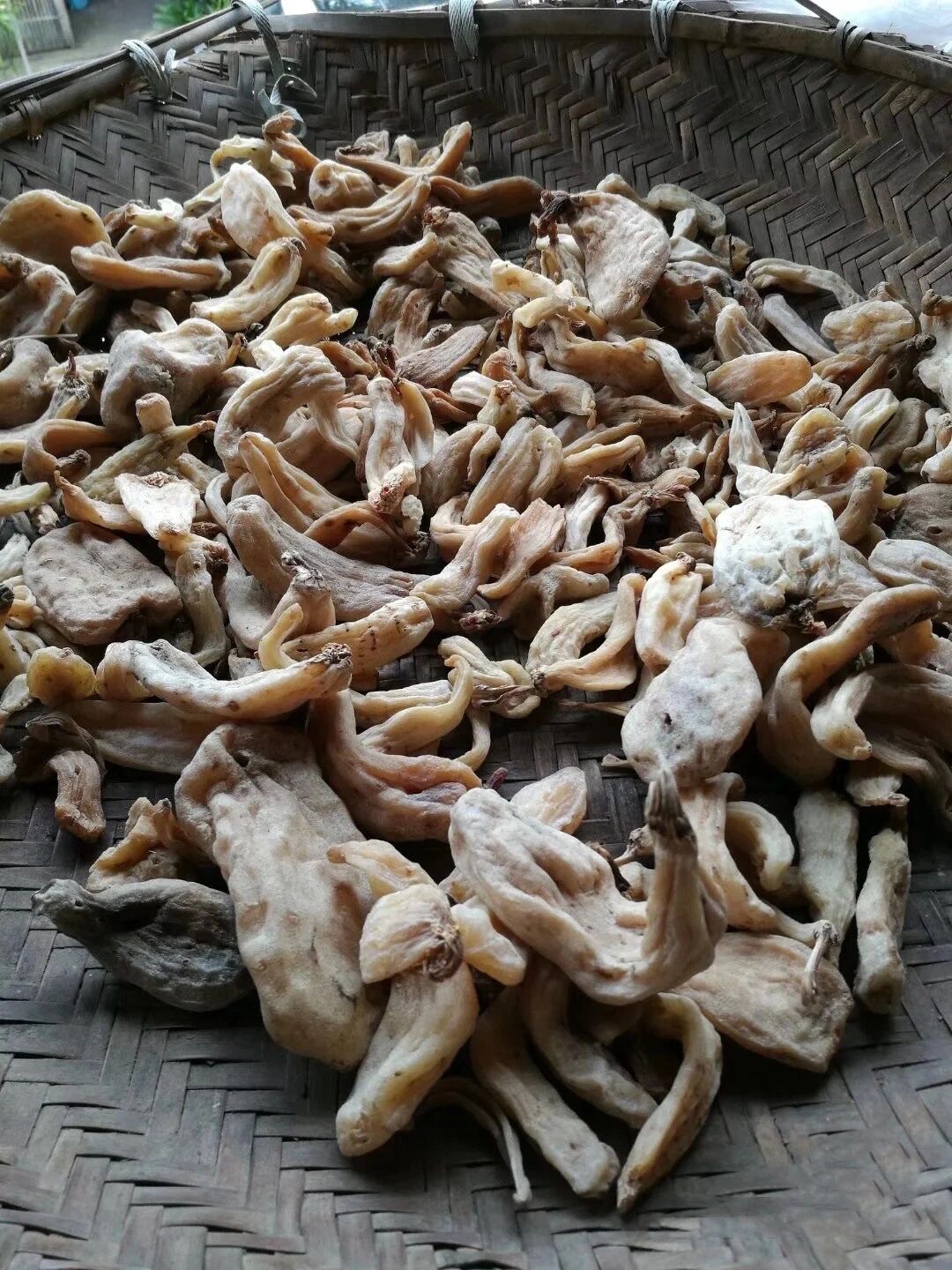 食用野生天麻的六大禁忌 千万别乱吃 天麻滥用93能导致副作用产生!