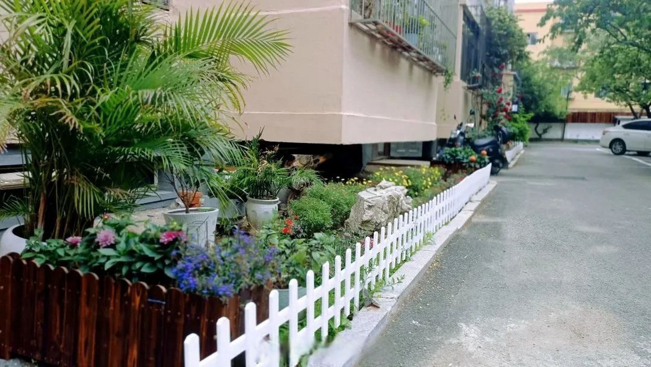 爱民社区微改造,小区花坛展新颜[网页链接] "呀,花坛变样啦!