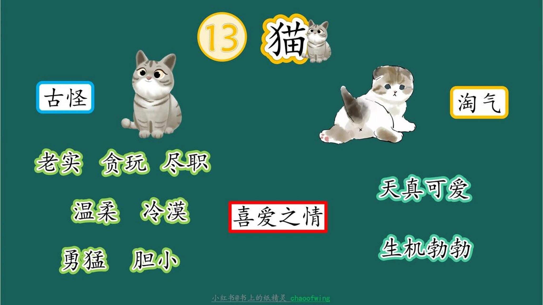 老舍猫的板书设计图片