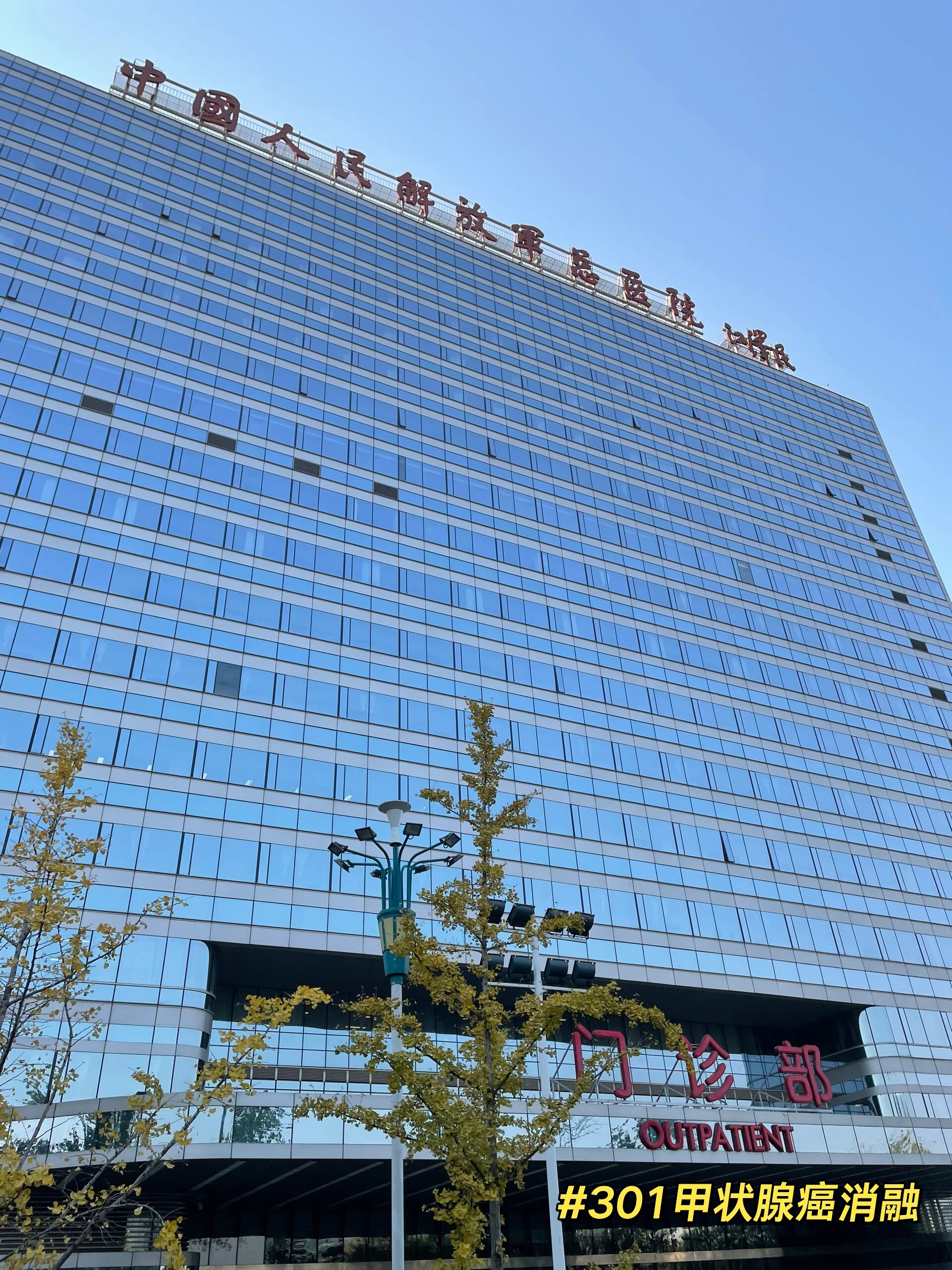 关于301医院医疗事务快速通道的信息