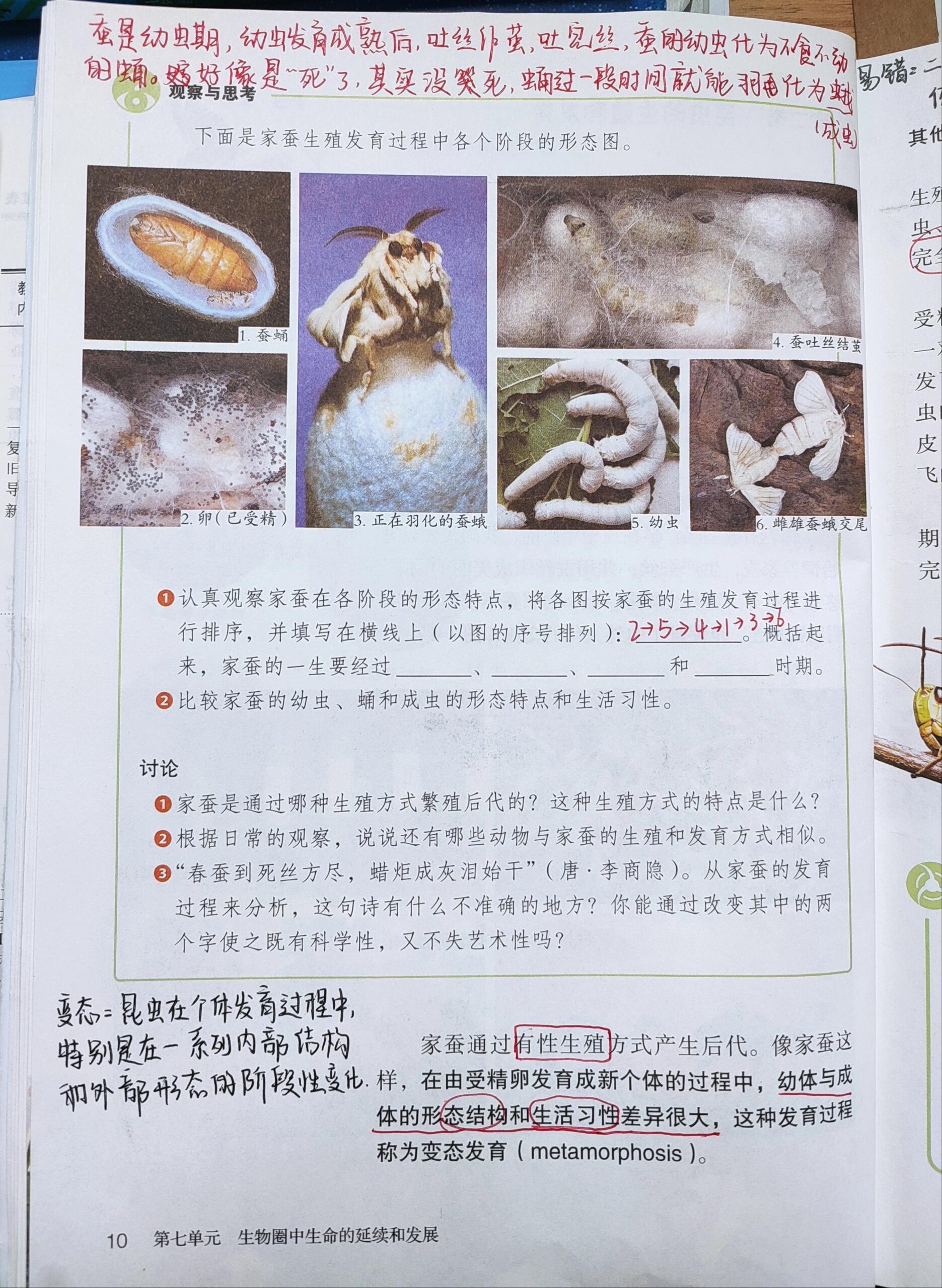 八下生物笔记北大(八下生物笔记人教版)  第1张