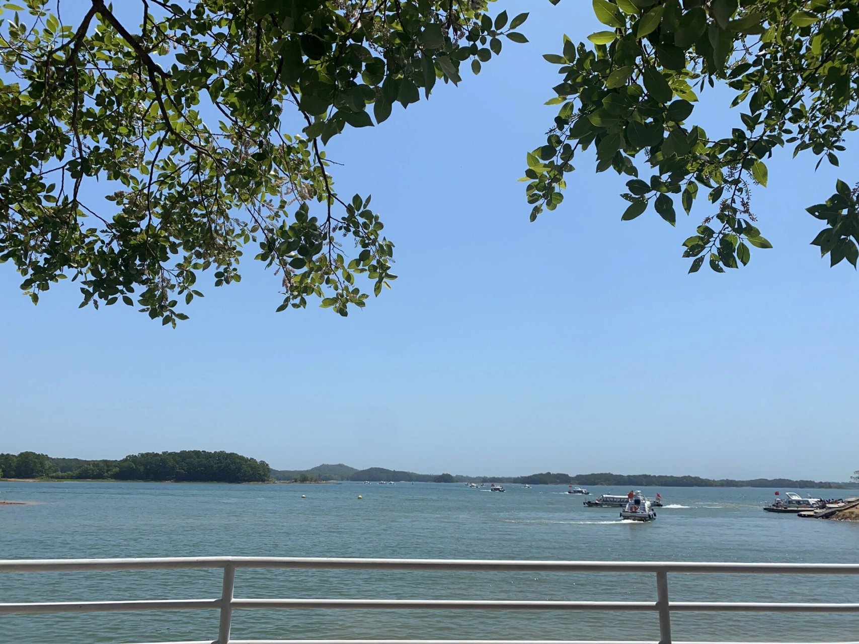 信阳南湾湖茶岛图片