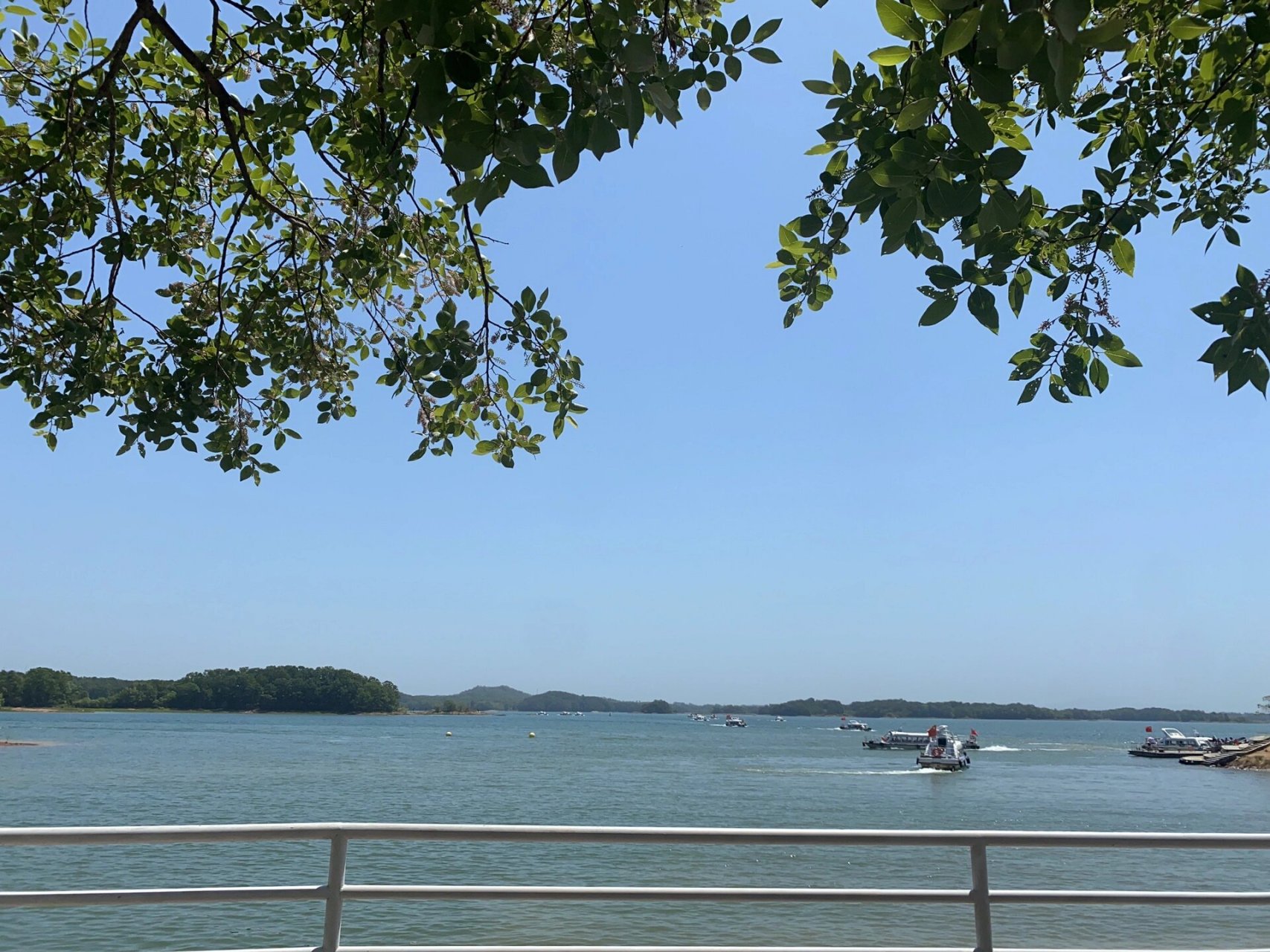 南湾湖-茶岛 南湾湖景区离信阳市区不远,我们怕不好停车,就把车停在离