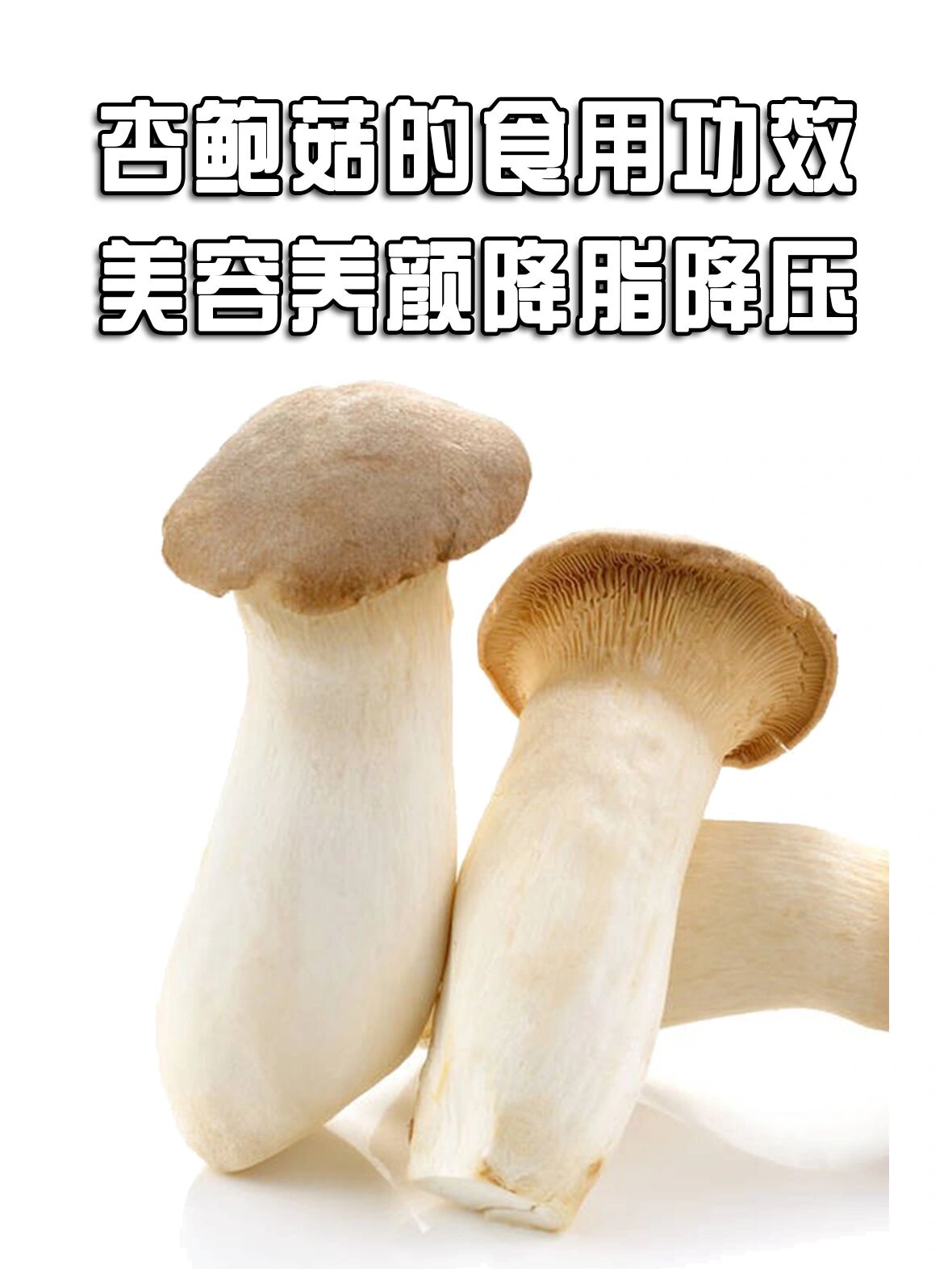 杏鲍菇的功效图片