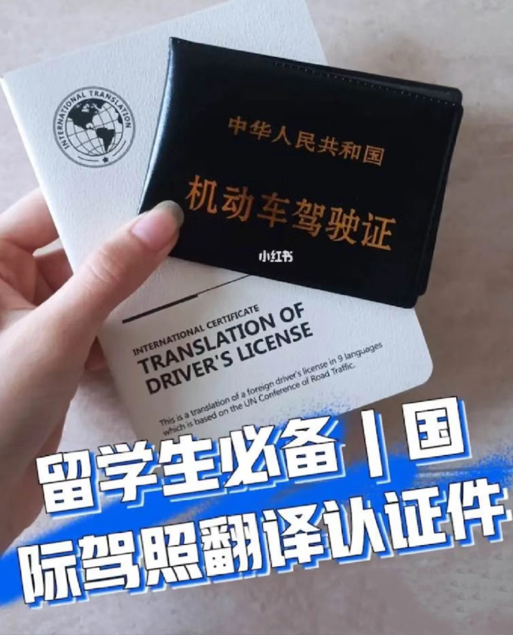 中国驾照翻译公证国际驾照翻译认证件 很多同学出国留学或者自由行