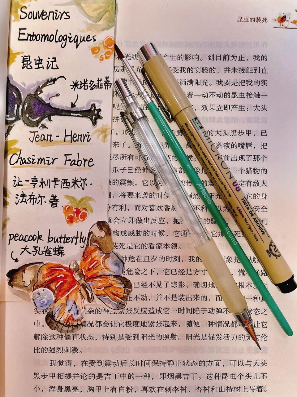 昆虫记书签    国庆作业