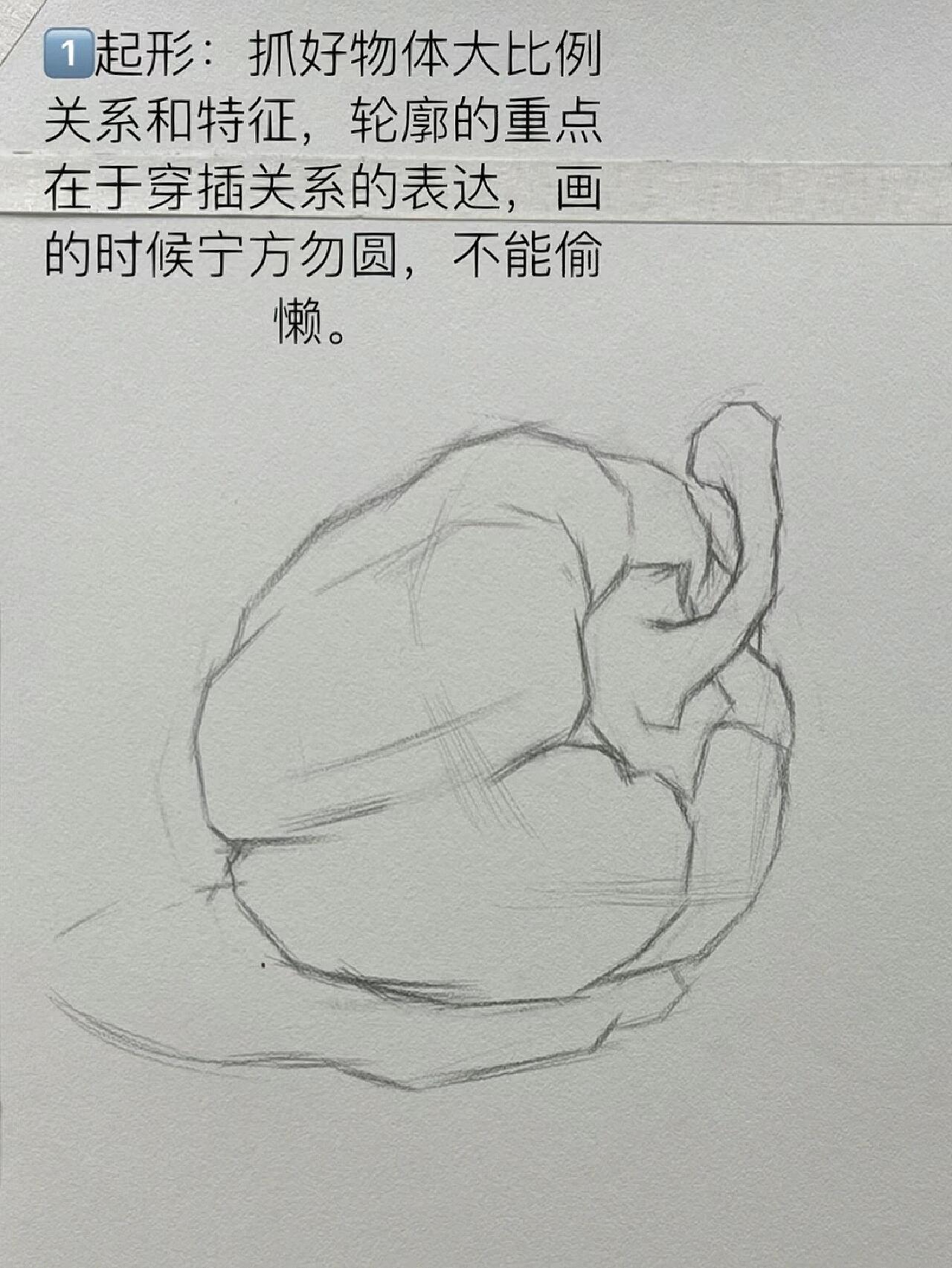 青椒素描画法步骤图片