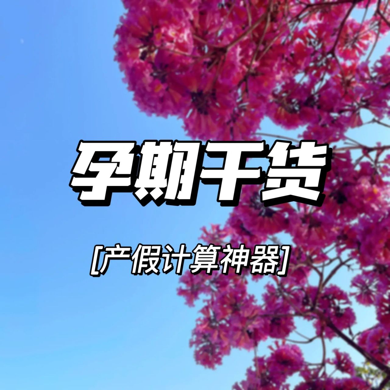 孕期计算器图片