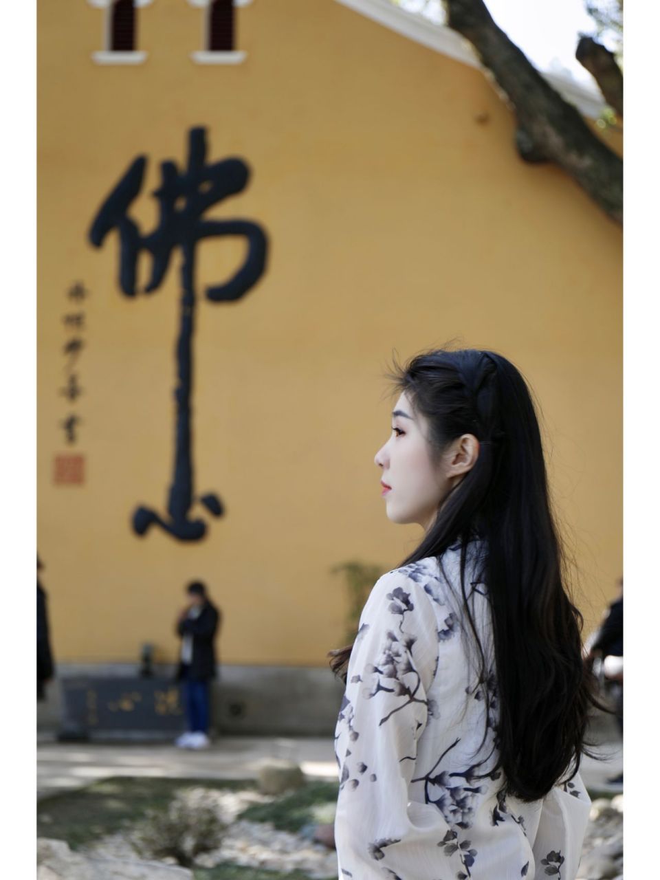 打卡网红墙|普陀山双泉禅院·佛心墙92 随佛缘而来 寻佛心归处 所谓