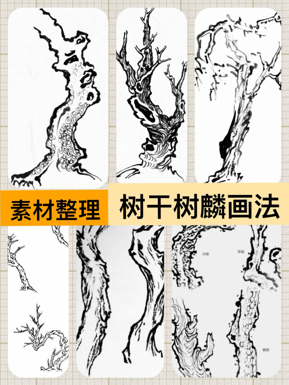 树纹画法图片