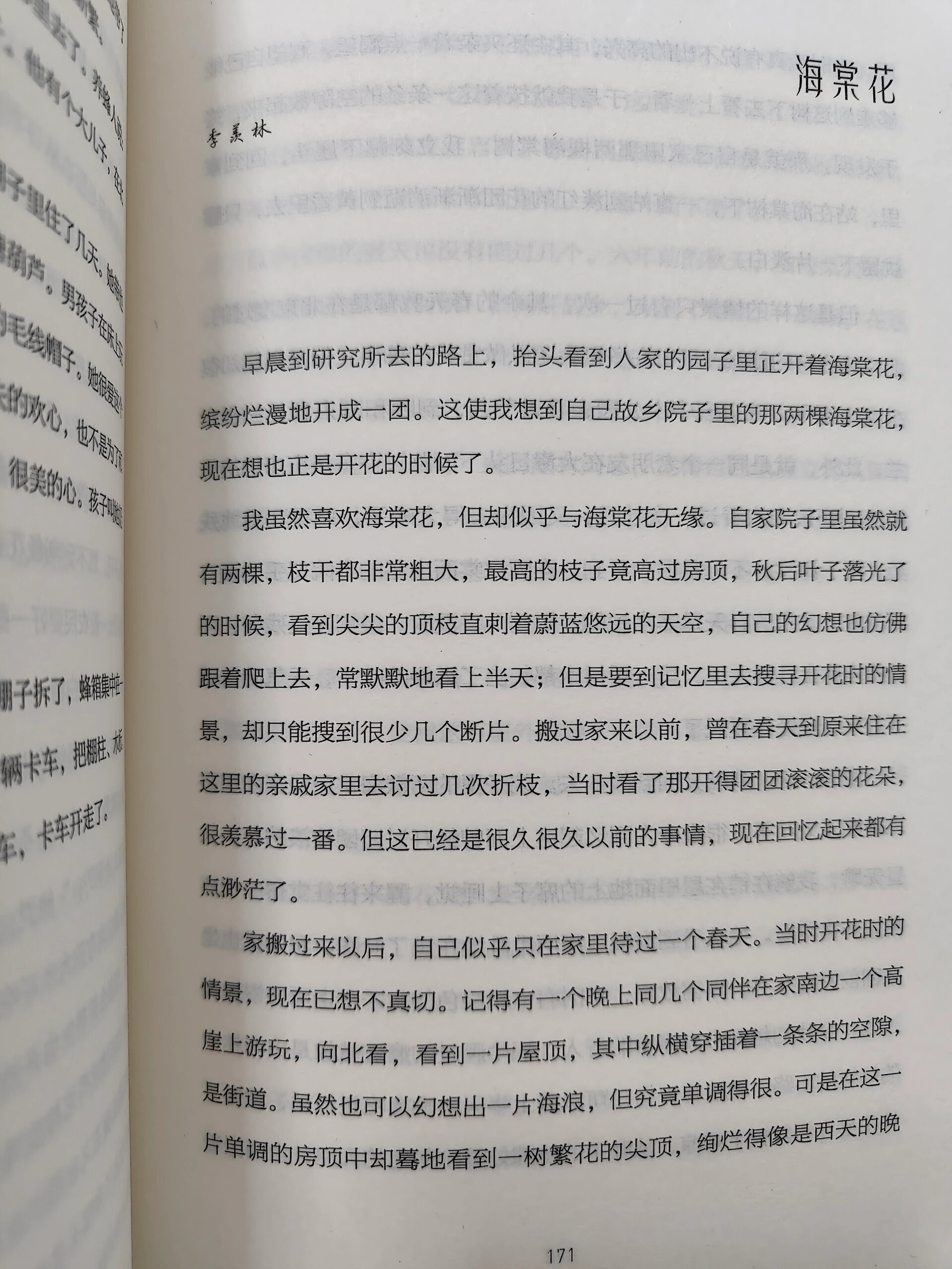 季羡林《海棠花》