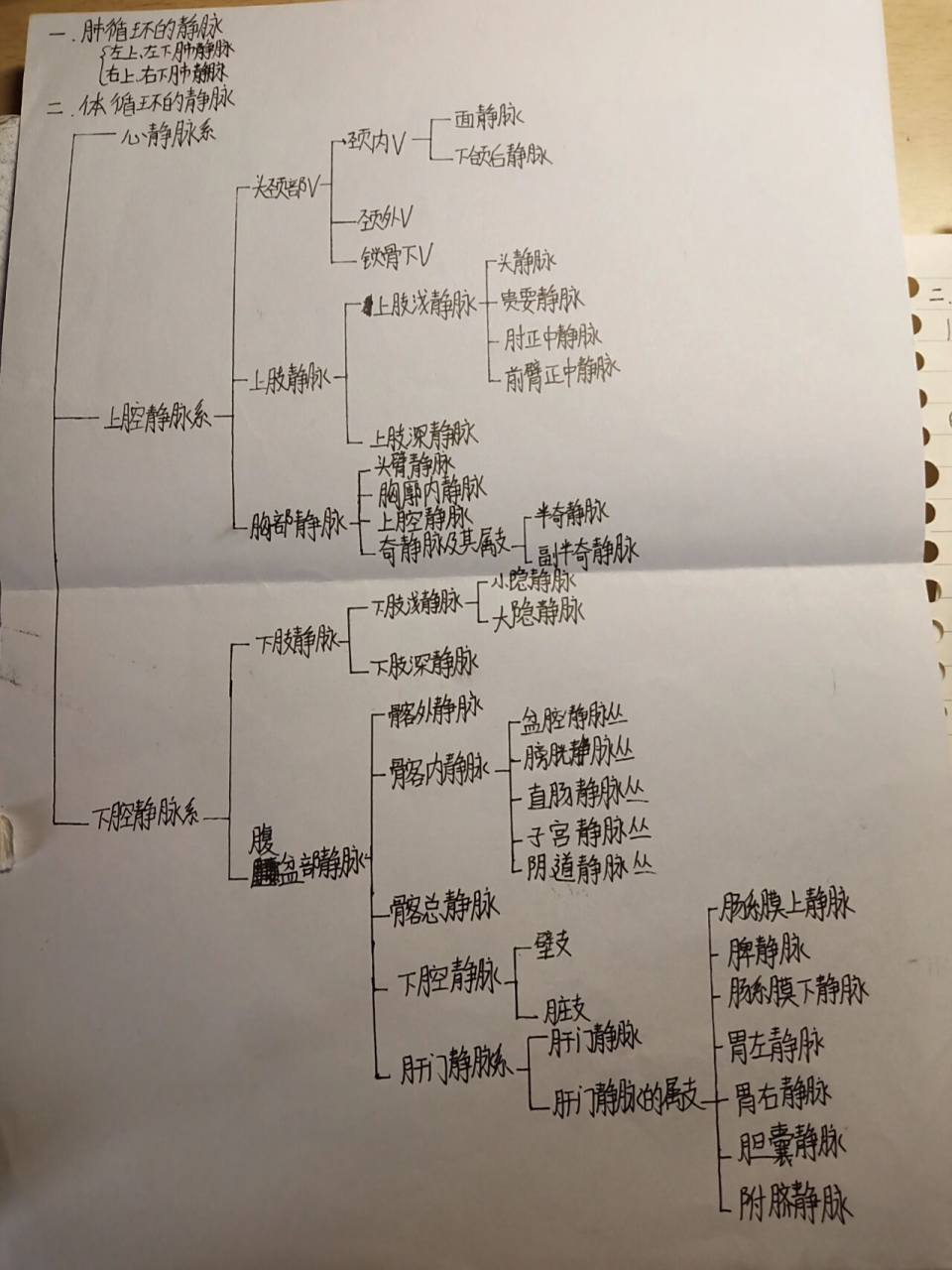 循环系统思维导图